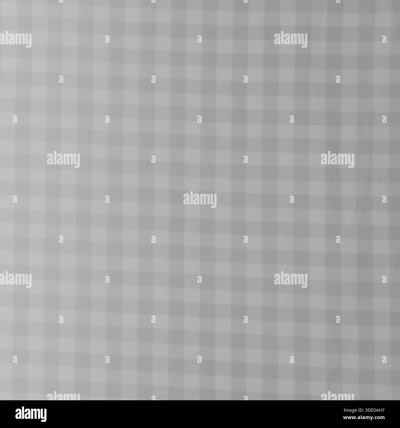 Texture de tissu à carreaux Vichy gris clair classique. Fond de motif à carreaux neutre pour la mode, la conception textile et la décoration intérieure. Banque D'Images