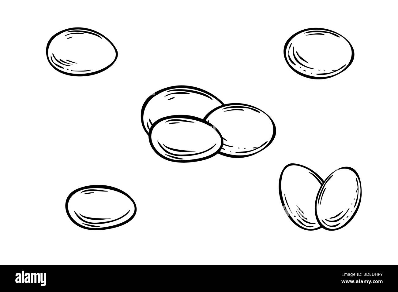 Illustration isolée du vecteur d'oeufs d'oiseau peinte par des encres noires. Gravure monochrome de la composition d'oeufs blancs de poulet ou de canard. Ingrédients de cuisson Illustration de Vecteur