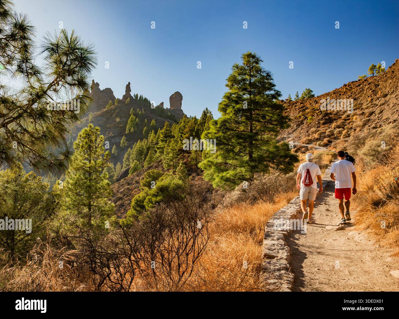 Deux hommes marchant sur un sentier de montagne jusqu'à Roque Nublo, à Gran Canaria, en Espagne, par une journée ensoleillée avec un ciel bleu à travers des collines boisées Banque D'Images