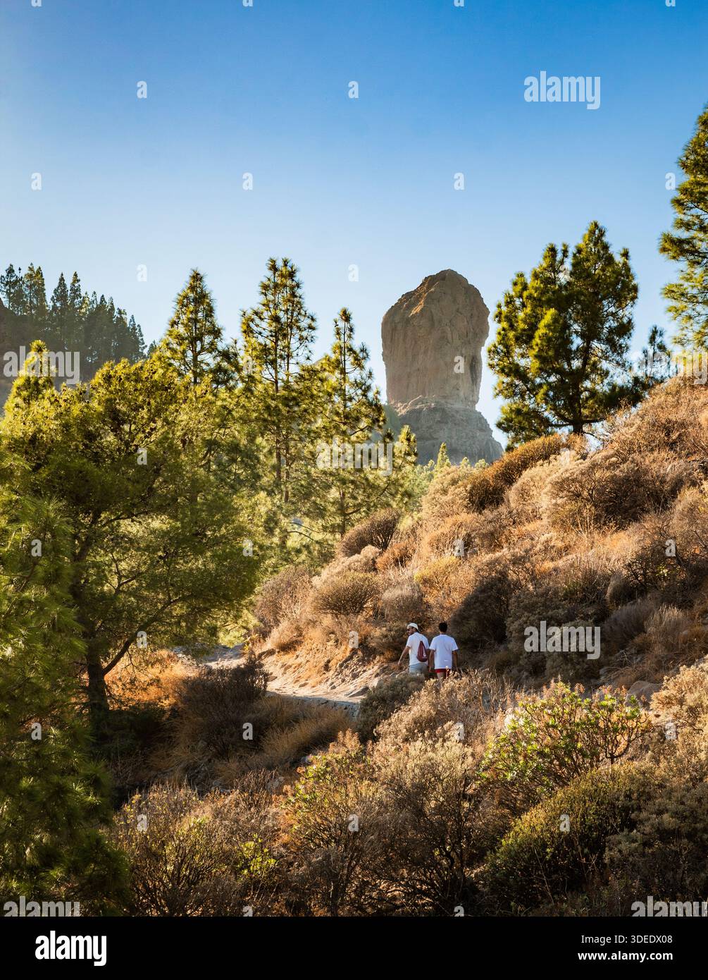 Vue verticale de deux hommes marchant sur un sentier de montagne jusqu'à Roque Nublo, à Gran Canaria, Espagne, par une journée ensoleillée avec un ciel bleu à travers des collines boisées Banque D'Images
