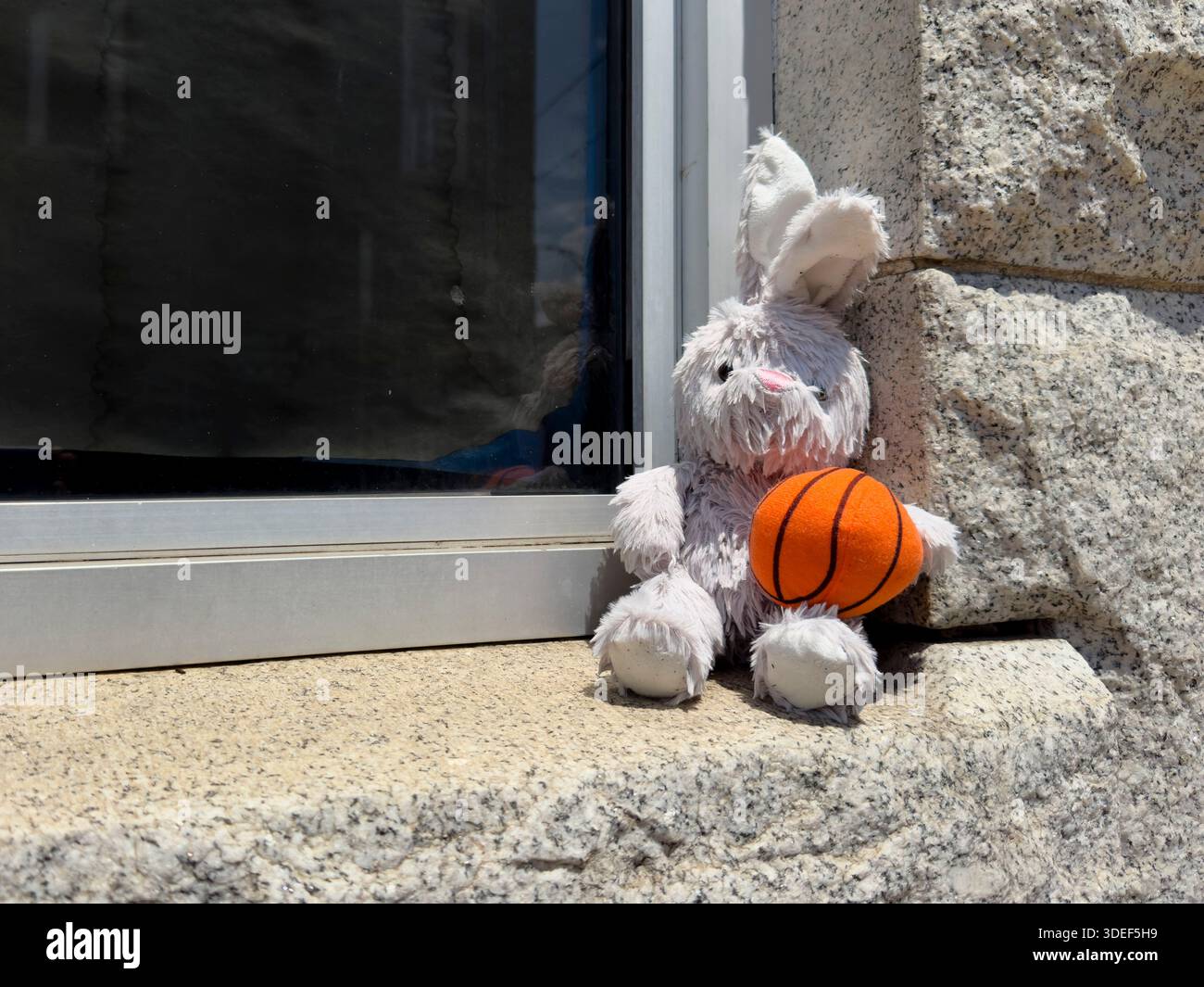 Lapin animal farci laissé sur un rebord de pierre Banque D'Images