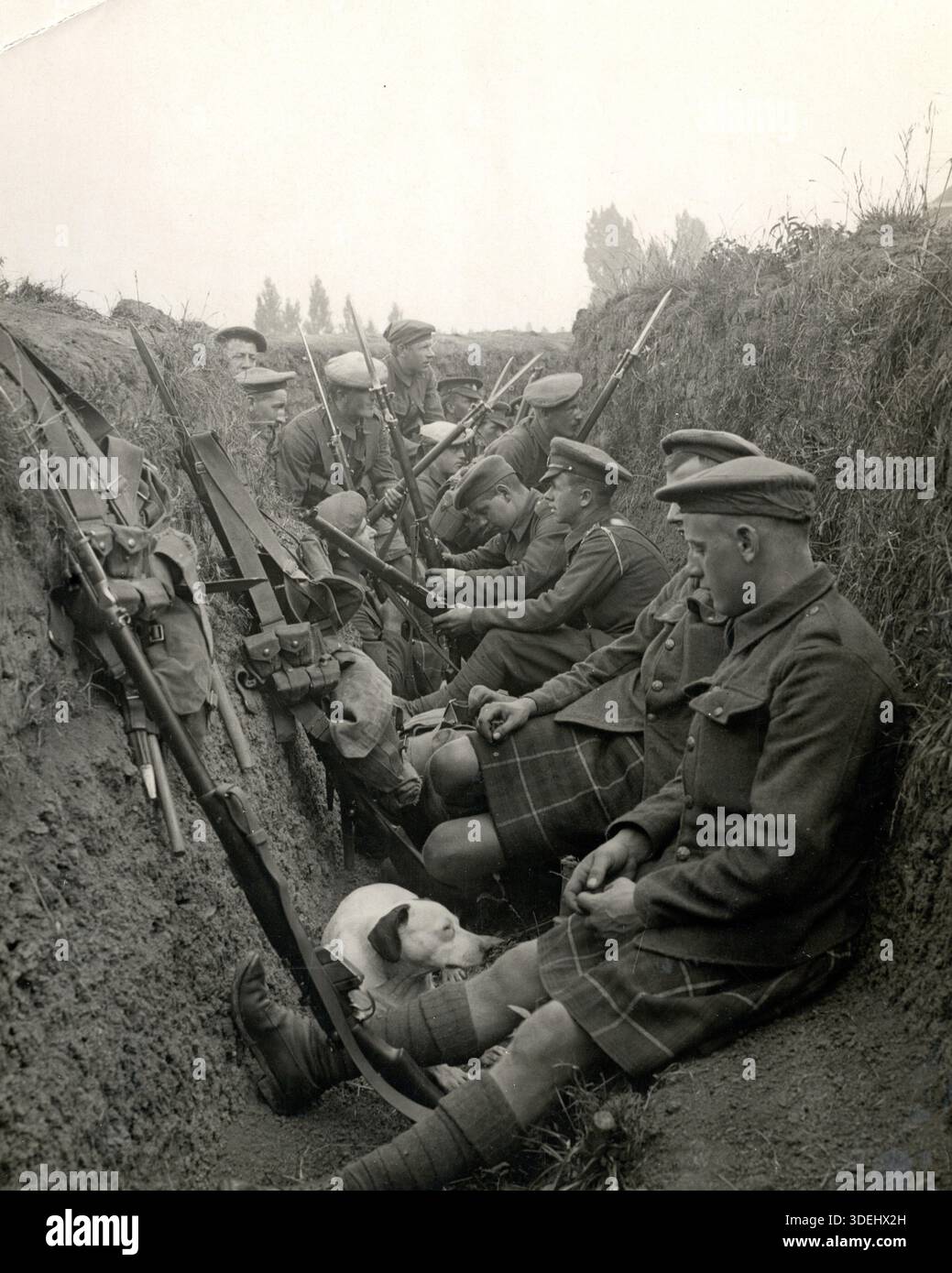 Territoires des Seaforth Highlanders dans une tranchée, 5 août 1915 près de Gorgue, France. Photographe : H. D. Girdwood. Il est à noter que ce photographe a passé beaucoup de temps dans les sections arrière de la ligne et beaucoup de ses photos ont été mises en scène pour donner aux gens à la maison une idée des conditions. Il n'a pas noté qui ont été mis en scène et qui étaient réels (il est allé en fait au front quelques fois) donc la prudence doit être utilisée avec ses photos de combat de première ligne. Il était à l'avant à ce moment donc cette photo est probablement authentique. Banque D'Images