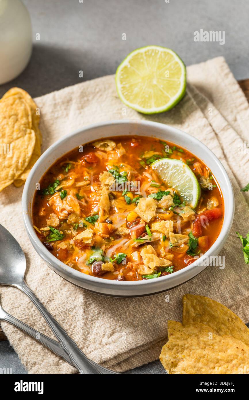 Soupe salée de tortilla au poulet maison avec haricots et maïs Banque D'Images