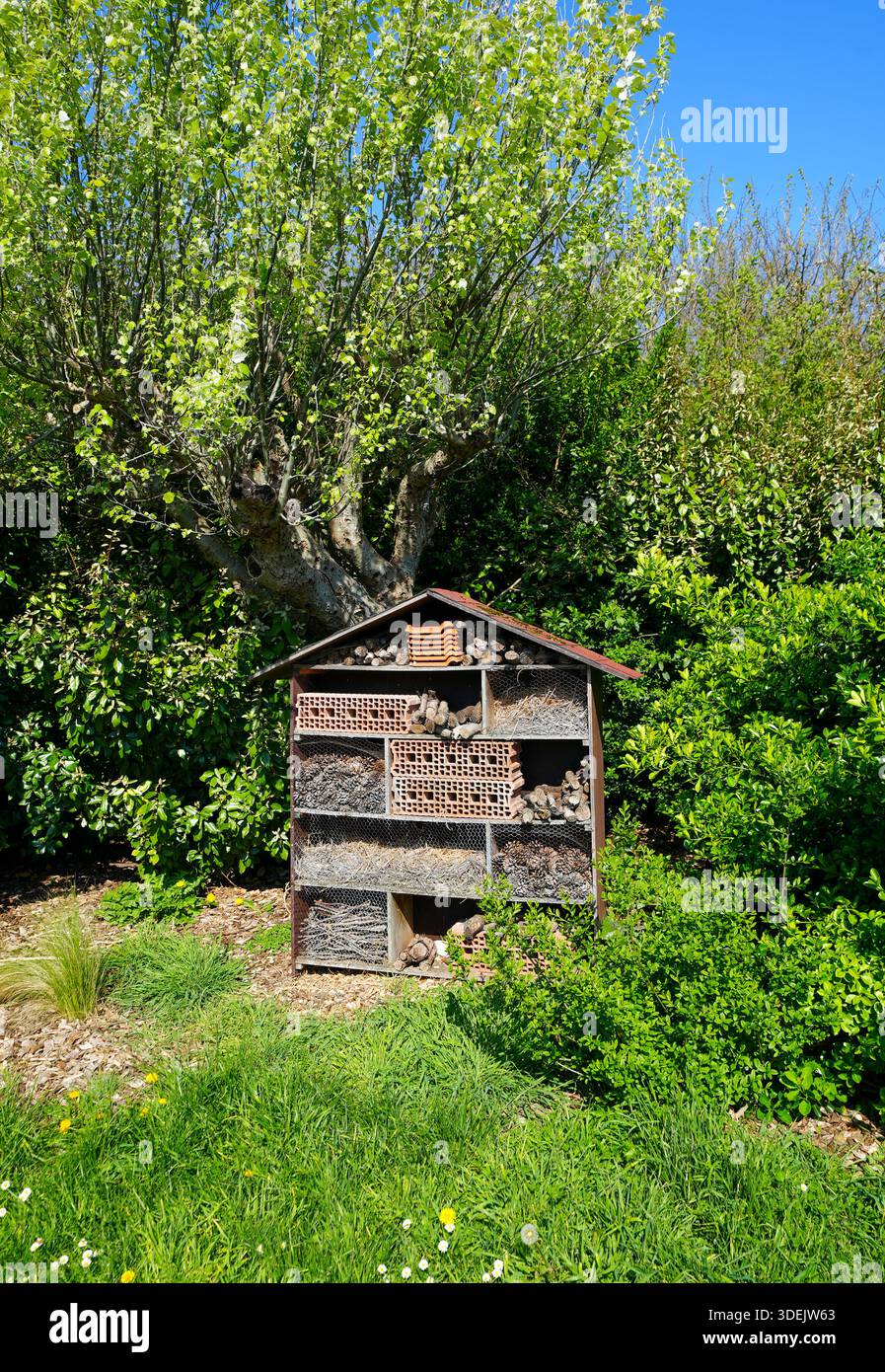 Hôtel d'insectes dans la nature. Habitat pour préserver la biodiversité des insectes. Banque D'Images