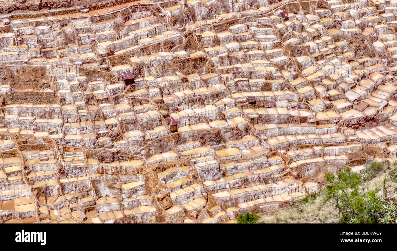 Vue aérienne de la courtepointe patchwork des étangs d'évaporation de sel en terrasse brille sous le soleil, un témoignage de l'ingéniosité ancienne, Maras, Pérou. Banque D'Images