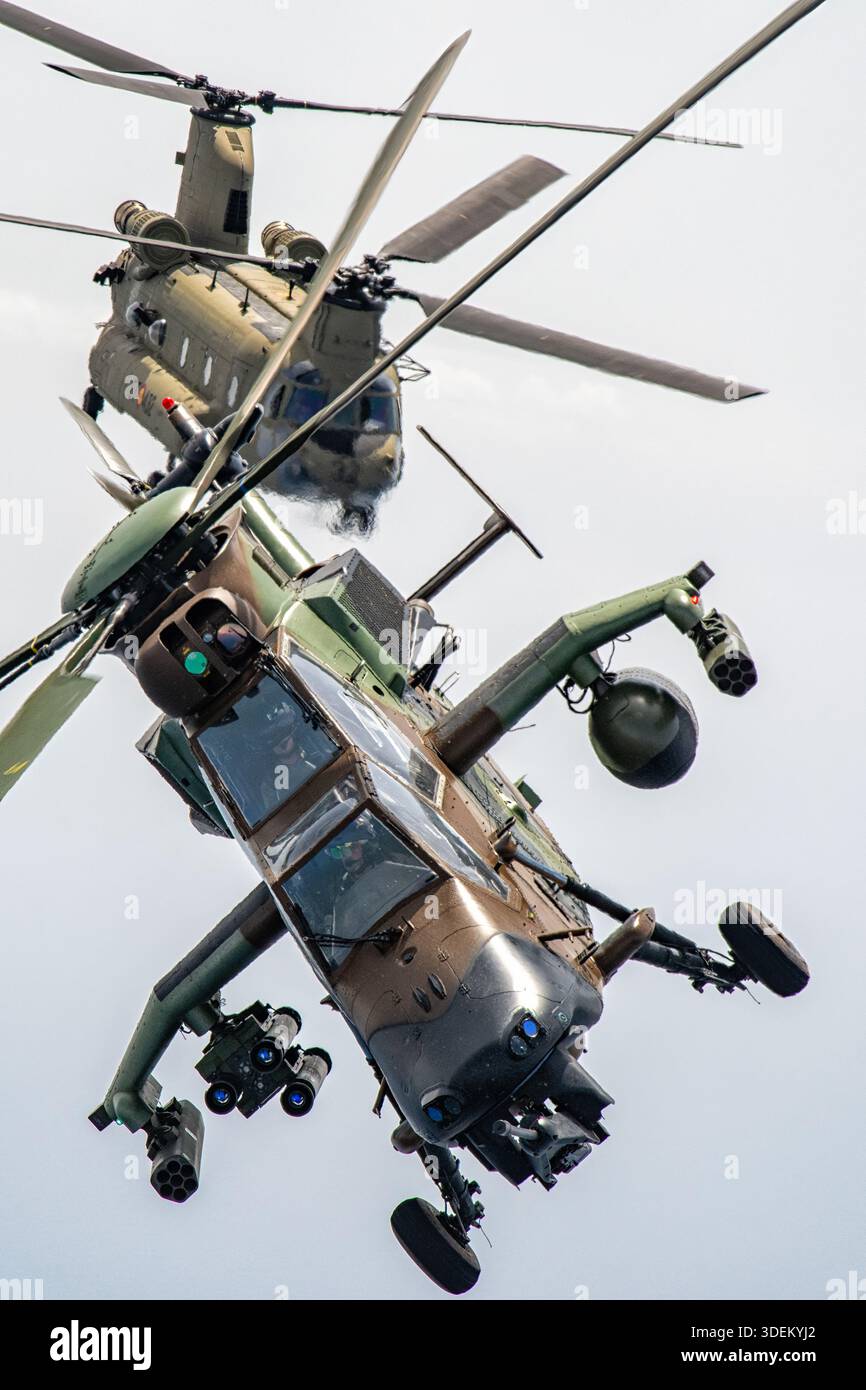 Cette image montre un hélicoptère d'attaque Airbus Helicopters Tiger HAD DE l'armée espagnole et un hélicoptère de transport lourd Boeing CH-47F Chinook volant en formation air-air au Festival Aéreo Internacional AIRE 25 pendant le San Javier Airshow. Le Tiger HAD est un hélicoptère d'attaque bimoteur avec deux turbomoteurs MTR390 améliorés équipés pour les rôles de reconnaissance et de frappe. Le CH-47F Chinook est équipé de deux turbomoteurs T55-GA-714A et est configuré pour les missions de transport de troupes et de marchandises. Banque D'Images
