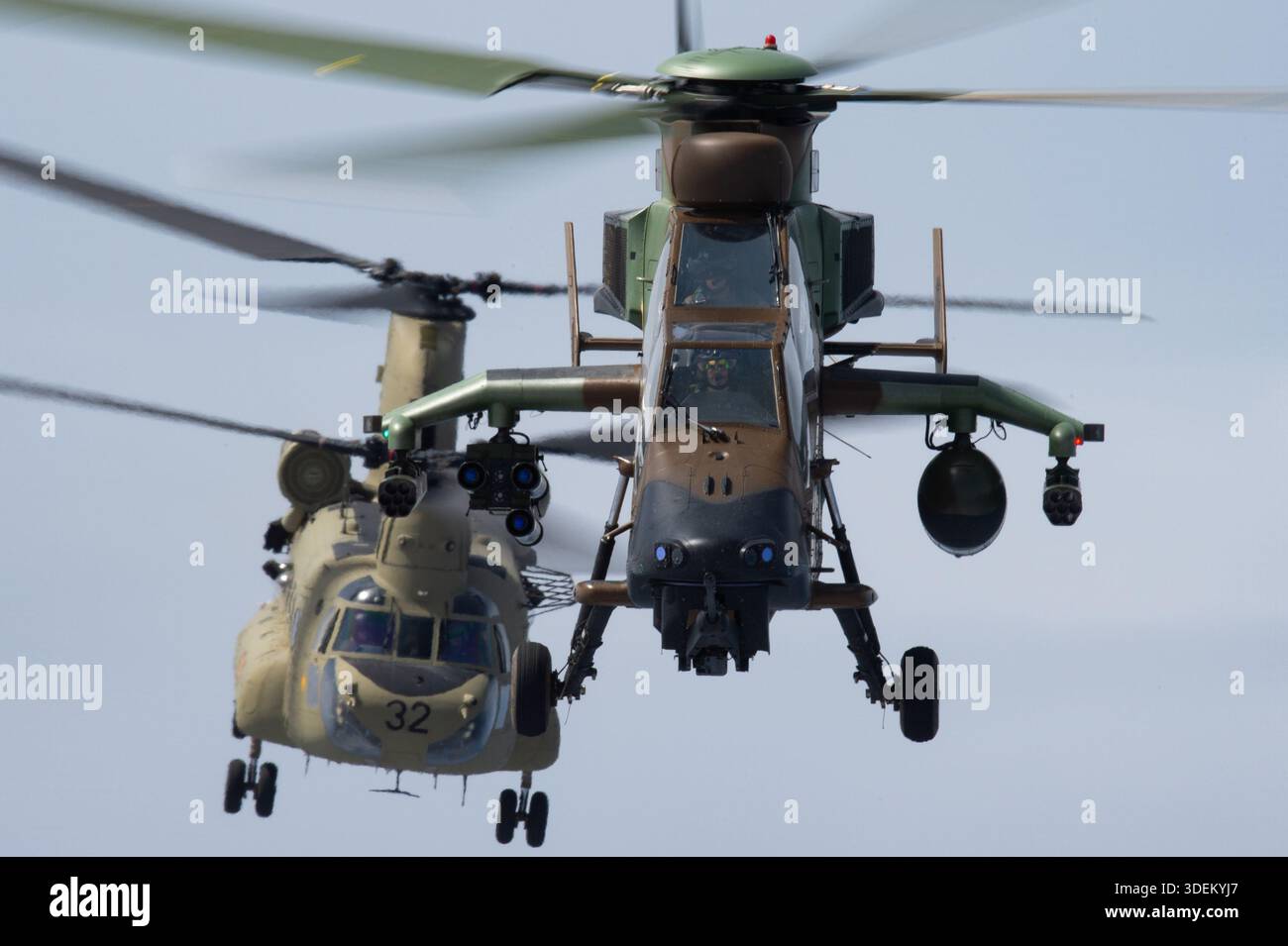 L'image montre un hélicoptère d'attaque Airbus Helicopters Tiger HAD DE l'armée espagnole et un hélicoptère de transport lourd Boeing CH-47F Chinook en formation aérienne rapprochée au Festival Aéreo Internacional AIRE AIRE 25 au San Javier Airshow. Le Tiger HAD est un hélicoptère d'attaque bimoteur avec turbomoteurs MTR390, armé pour le soutien sur le champ de bataille. Le CH-47F Chinook utilise deux turbomoteurs Honeywell T55-GA-714A et sert dans des rôles de levage lourd. Les deux avions sont photographiés air-air avec des cockpits pilotes visibles. Banque D'Images
