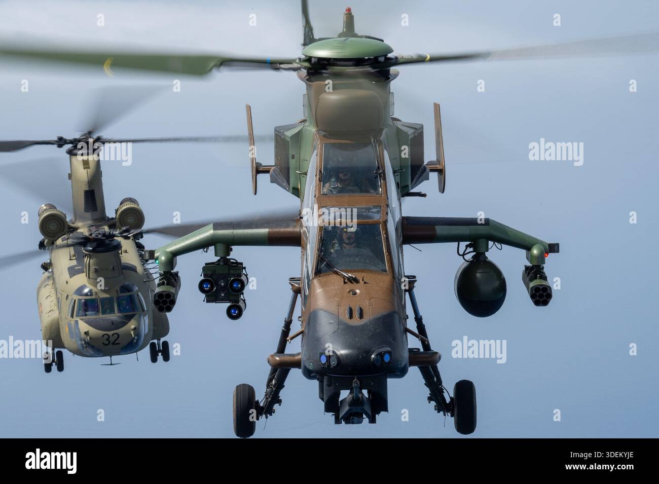 L'image montre un hélicoptère d'attaque Airbus Helicopters Tiger HAD DE l'armée espagnole et un hélicoptère de transport lourd Boeing CH-47F Chinook en formation aérienne rapprochée au Festival Aéreo Internacional AIRE AIRE 25 au San Javier Airshow. Le Tiger HAD est un hélicoptère d'attaque bimoteur avec turbomoteurs MTR390, armé pour le soutien sur le champ de bataille. Le CH-47F Chinook utilise deux turbomoteurs Honeywell T55-GA-714A et sert dans des rôles de levage lourd. Les deux avions sont photographiés air-air avec des cockpits pilotes visibles. Banque D'Images
