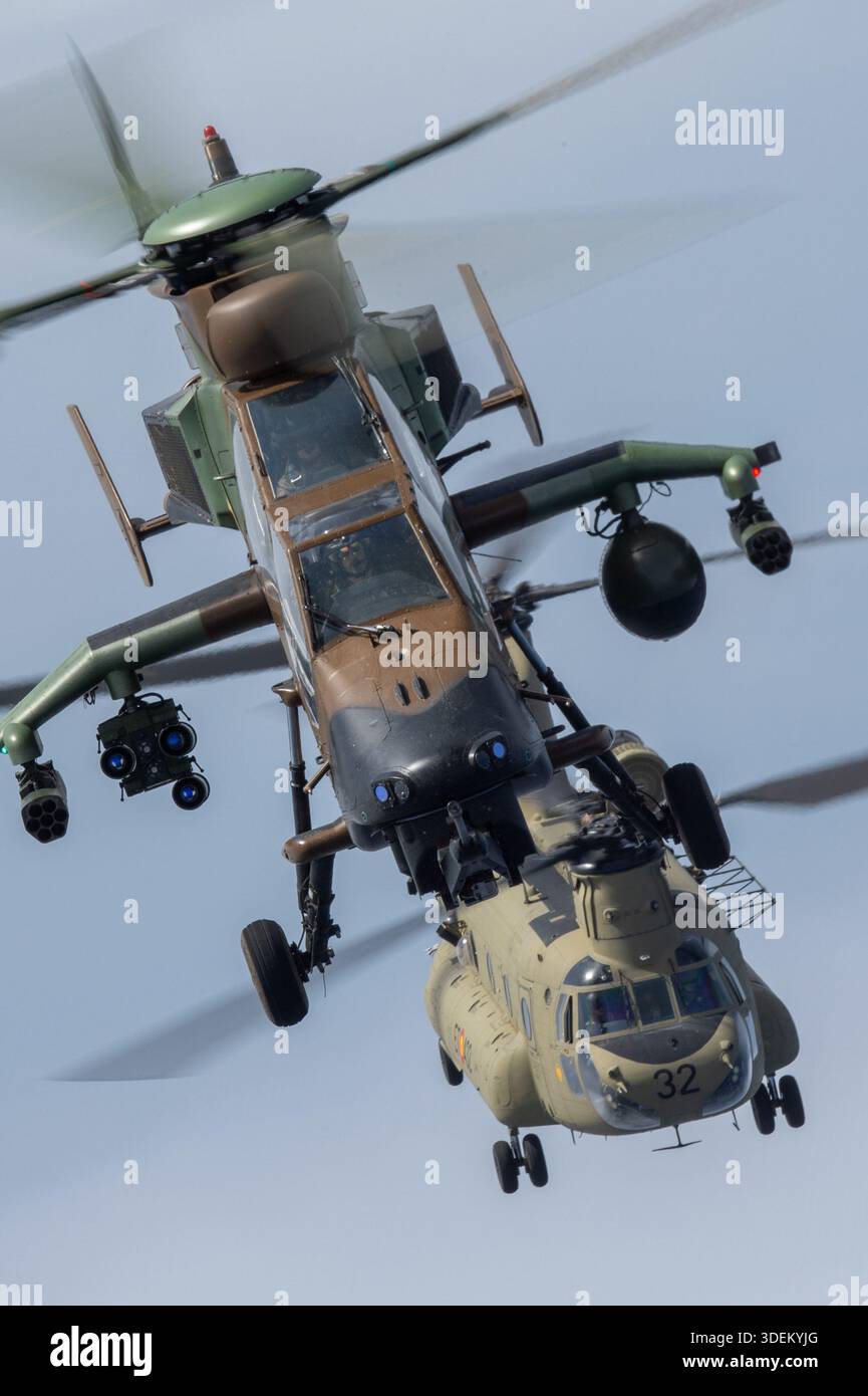 L'image montre un hélicoptère d'attaque Airbus Helicopters Tiger HAD DE l'armée espagnole et un hélicoptère de transport lourd Boeing CH-47F Chinook en formation aérienne rapprochée au Festival Aéreo Internacional AIRE AIRE 25 au San Javier Airshow. Le Tiger HAD est un hélicoptère d'attaque bimoteur avec turbomoteurs MTR390, armé pour le soutien sur le champ de bataille. Le CH-47F Chinook utilise deux turbomoteurs Honeywell T55-GA-714A et sert dans des rôles de levage lourd. Les deux avions sont photographiés air-air avec des cockpits pilotes visibles. Banque D'Images