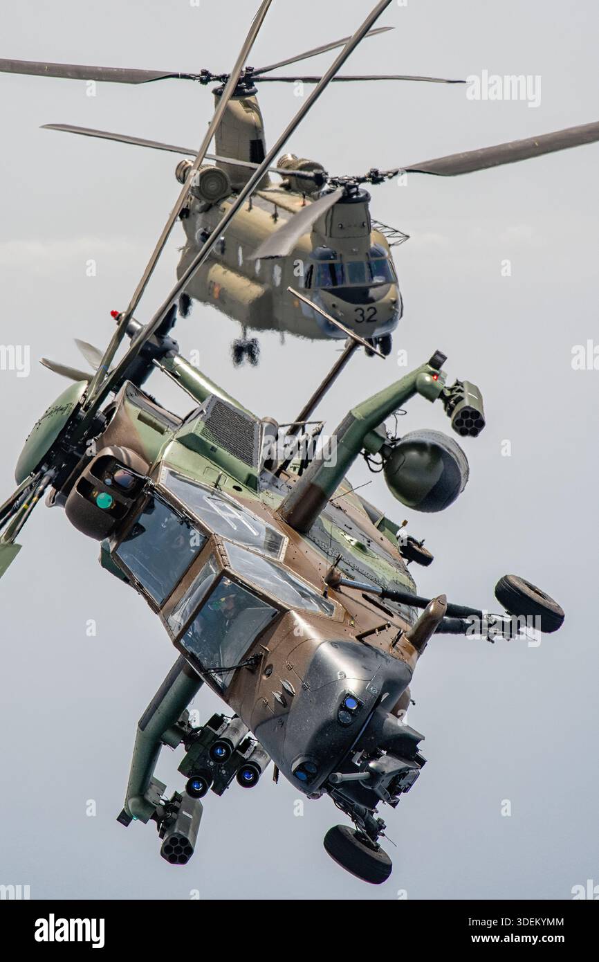Cette image montre un hélicoptère d'attaque Airbus Helicopters Tiger HAD DE l'armée espagnole volant avec un hélicoptère de transport lourd Boeing CH-47F Chinook en formation aérienne rapprochée au Festival Aéreo Internacional AIRE 25 au San Javier Airshow. Le Tiger HAD utilise deux turbomoteurs améliorés MTR390 et est conçu pour les missions anti-blindage et de reconnaissance. Le CH-47F Chinook est propulsé par deux turbomoteurs T55-GA-714A et est configuré pour les tâches de transport lourdes. Banque D'Images