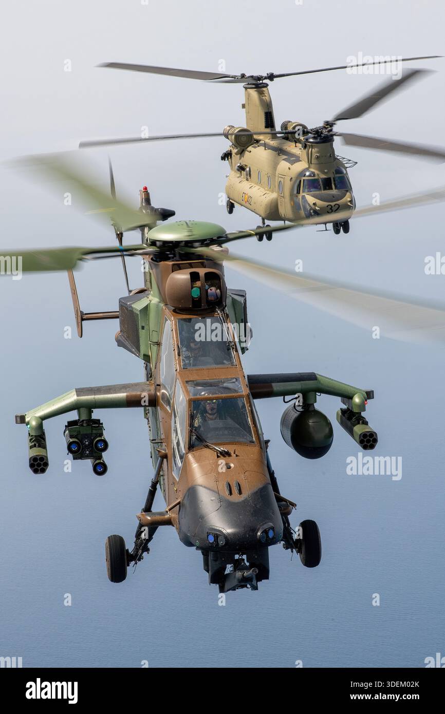 Le tigre de l'armée espagnole AVAIT UN hélicoptère d'attaque et un hélicoptère de transport CH-47F Chinook volant en formation rapprochée lors d'une exposition air-air au Festival Aéreo Internacional AIRE 25, San Javier. Le Chinook porte l'immatriculation HT.17-32A et la série M7512. Le Tiger HAD utilise deux turbomoteurs MTR390 pour les opérations de combat, tandis que le CH-47F est propulsé par des moteurs Honeywell T55, conçus pour le transport de troupes et le transport de marchandises lourdes. Banque D'Images