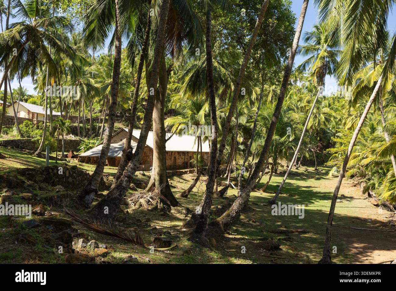 Les anciens bâtiments pénitentiaires de l'île Royale, la plus grande des îles du Salut, en Guyane française, en France, accueillent désormais les visiteurs de nuit. Banque D'Images