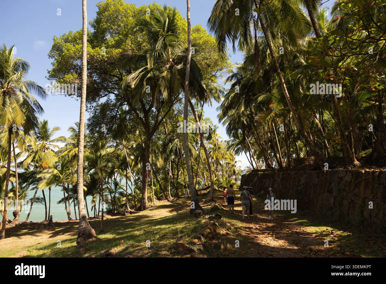 Il faut environ une heure pour que les visiteurs marchent le chemin ombragé autour de Royal Island, la plus grande des îles du Salut, Guyane française, France. Banque D'Images