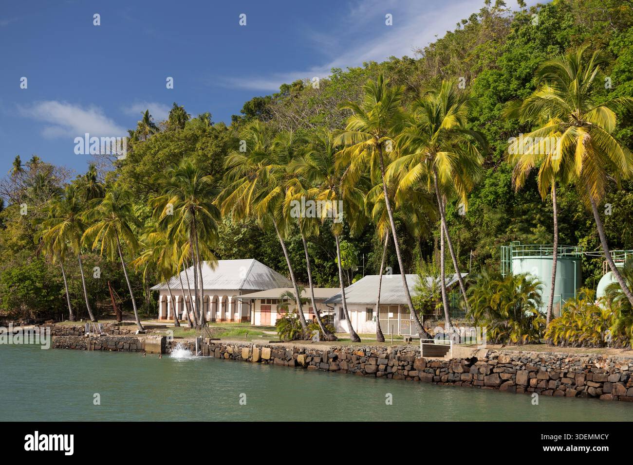 Cocunut Palm Bay sur l'île Royale, ou Île Royale, la plus grande des îles du Salut au large de la Guyane française, pied de la France en Amérique du Sud. Banque D'Images