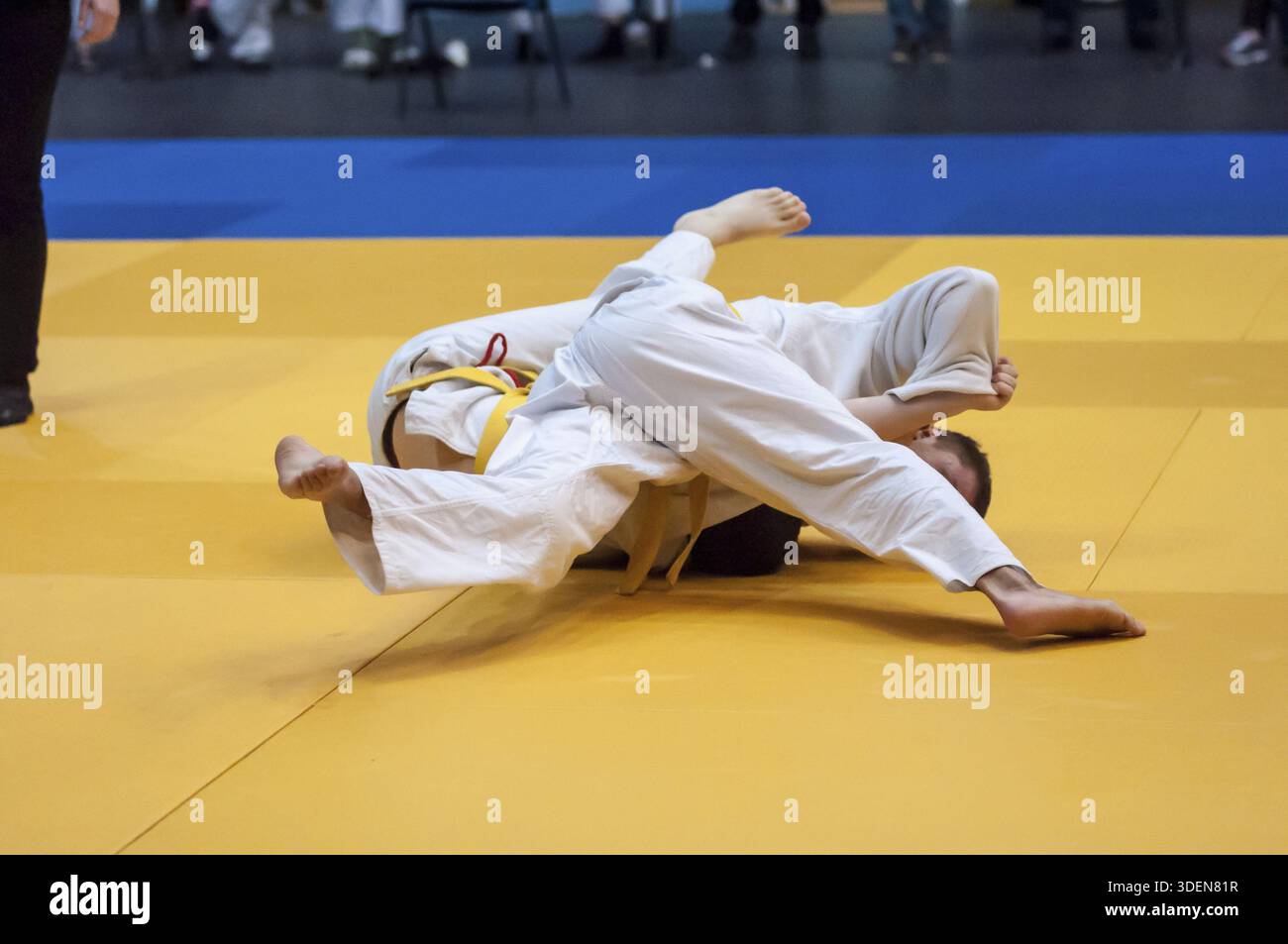 Art martial japonais de Judo et un sport de combat sans armes de sport Banque D'Images