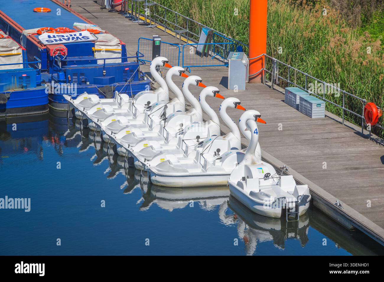 Pédalos de cygne à Waterworks River dans le parc olympique Queen Elizabeth à Londres, Royaume-Uni Banque D'Images