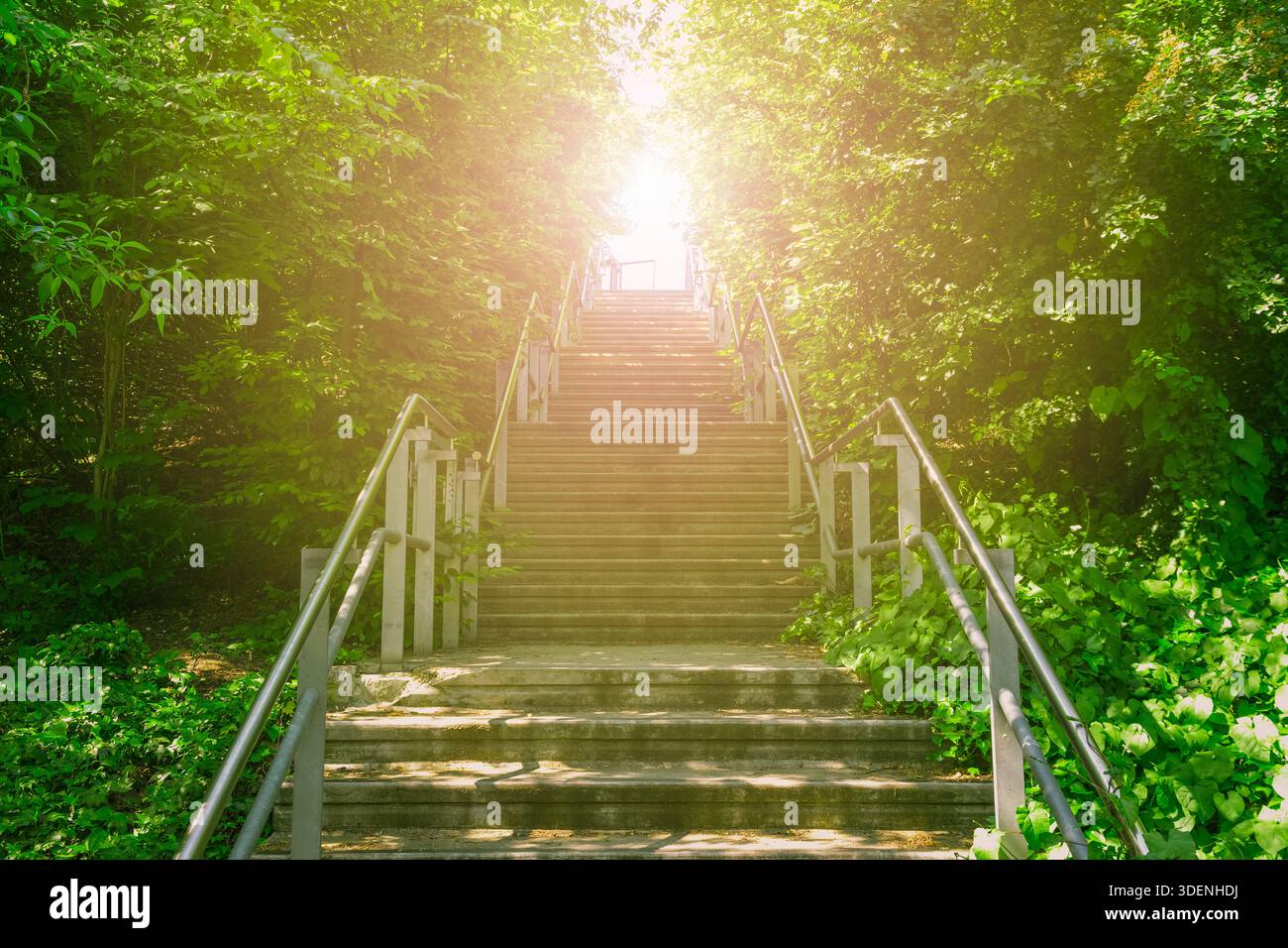 Escaliers en béton ascendant à la luminosité de la lumière du soleil Banque D'Images
