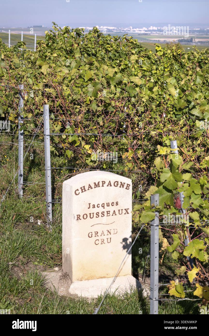 Marqueur de vignoble en pierre de la maison de champagne Jacques Rousseaux avec la gravure Grand Cru, qui marque une parcelle de pinot noir de première classe, dans le backgro Banque D'Images