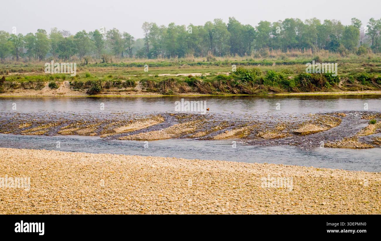 Une rivière peu profonde et claire coule doucement sur des galets lisses, serpentant à travers un paysage verdoyant sous un ciel bleu vif. Banque D'Images