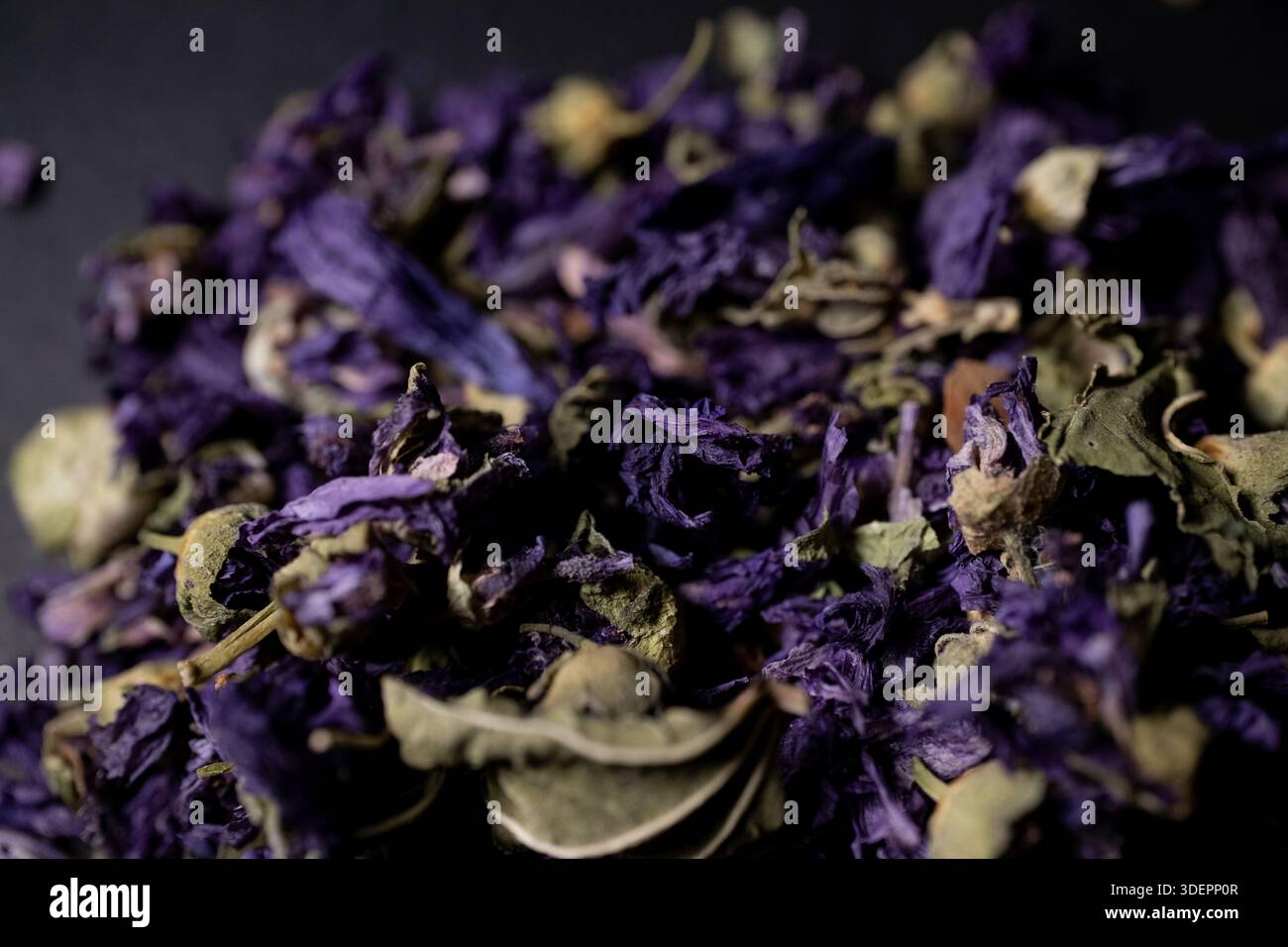 Organique Malva sylvestris pétales séchés Professional Botanical Stock photo fond Banque D'Images