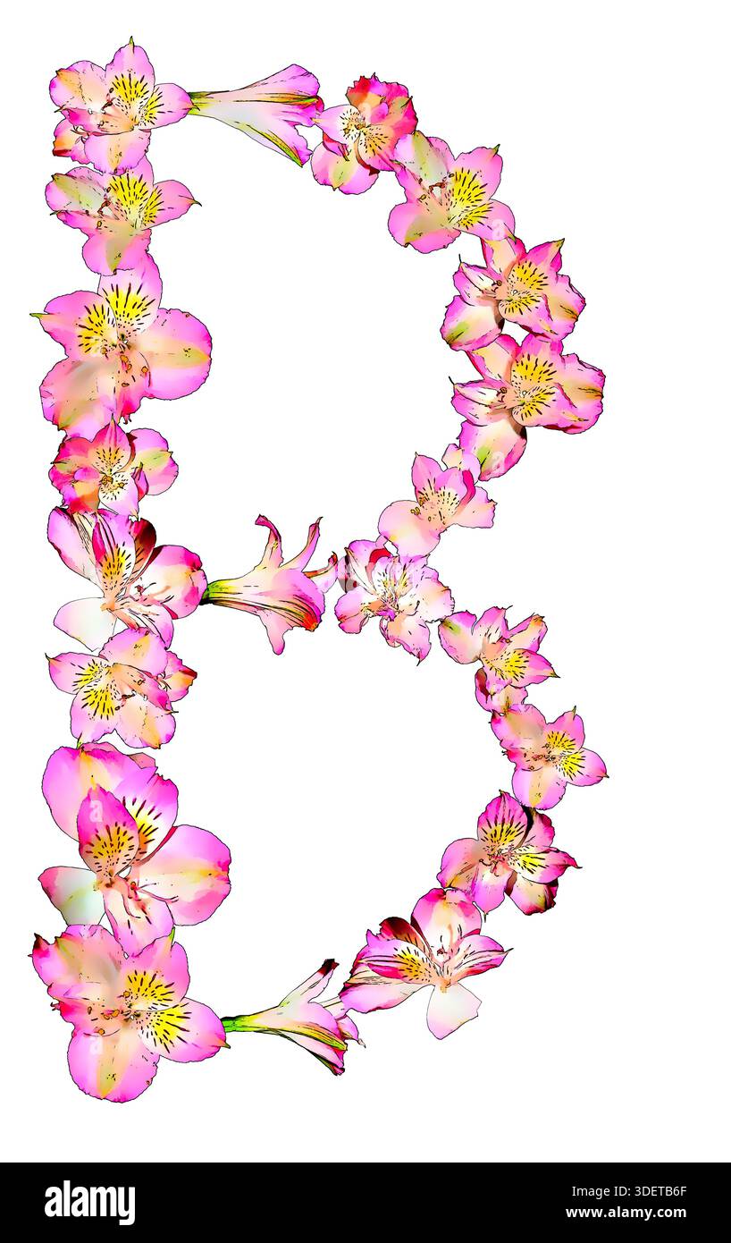 Lettre vibrante B alstroemeria fleur pétales pop avec des jaunes riches, blues, rose, lettre amusante et excitante, photo esthétiquement modifiée de style. Banque D'Images