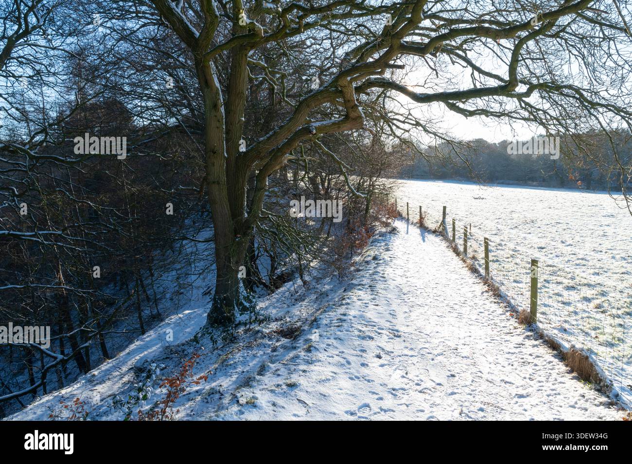 Une matinée lumineuse et enneigée à Alderley Edge dans la campagne du Cheshire, en Angleterre. Banque D'Images