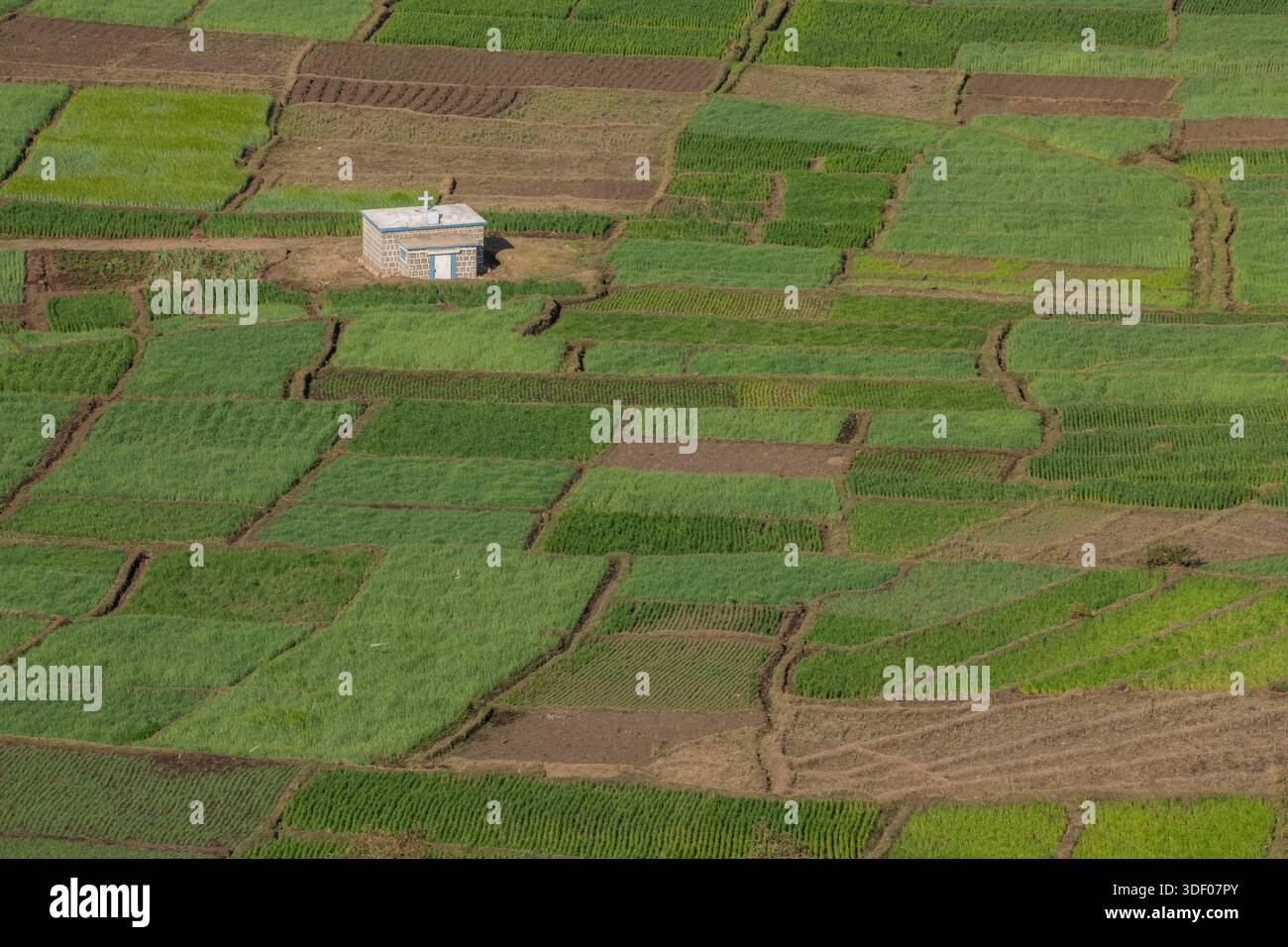 La pratique malgache de placer des tombes au milieu des champs agricoles, comme on le voit près de Belazao, est profondément enracinée dans la vénération des ancêtres et le concept de tanindrazana (« terre des ancêtres »). Pour les malgaches, le lieu de sépulture est le lien sacré et inaliénable entre les vivants et les morts. Cette pratique est particulièrement répandue parmi les Merina et Betsileo des hauts plateaux du centre, où se trouve Belazao. Belazao, Madagascar. Banque D'Images