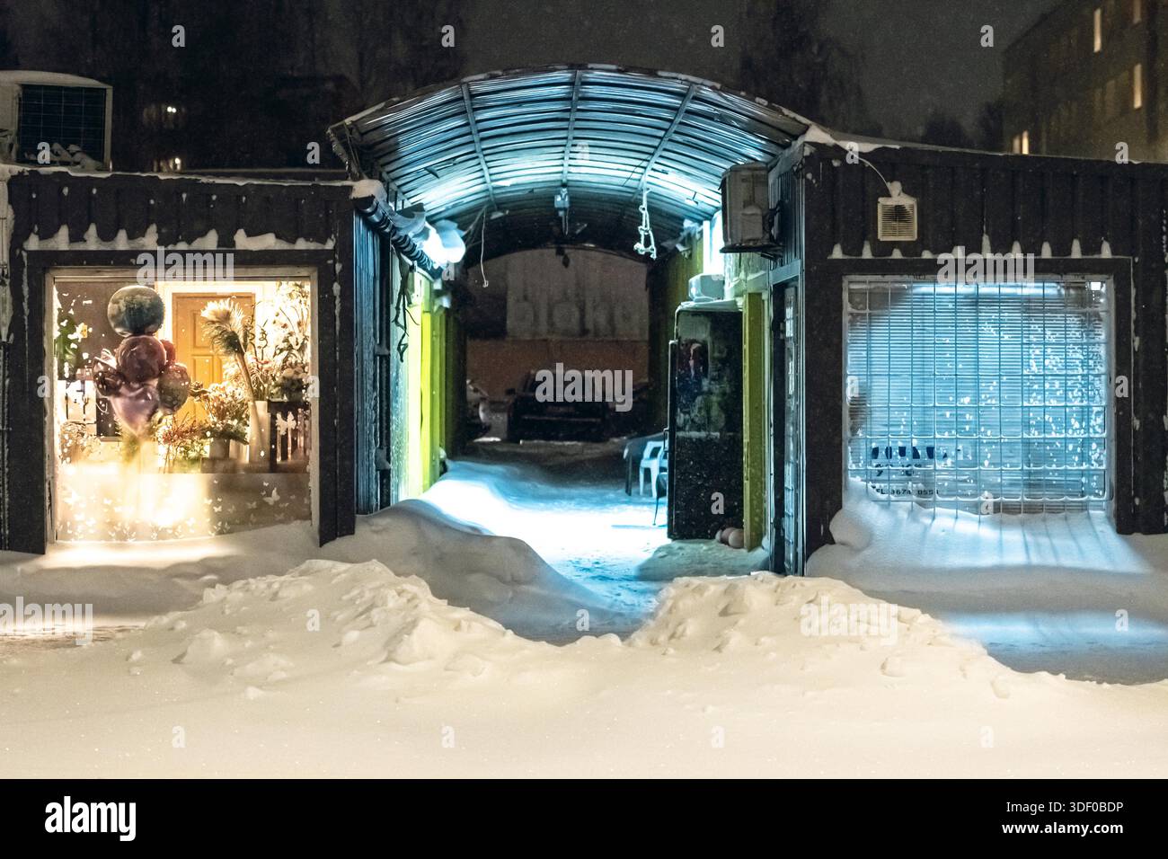 Vitrines dans une rue de la ville la nuit pendant que la neige tombe abondante, avec des devantures éclairées qui brillent par une tempête de neige hivernale Banque D'Images