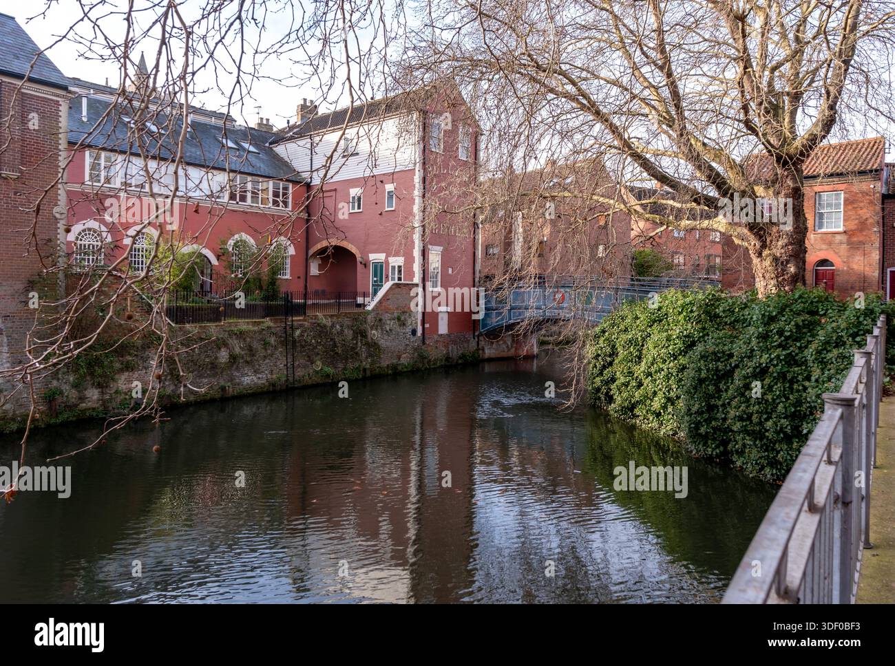 Vue sur la rivière Wensum dans la ville de Norwich Banque D'Images