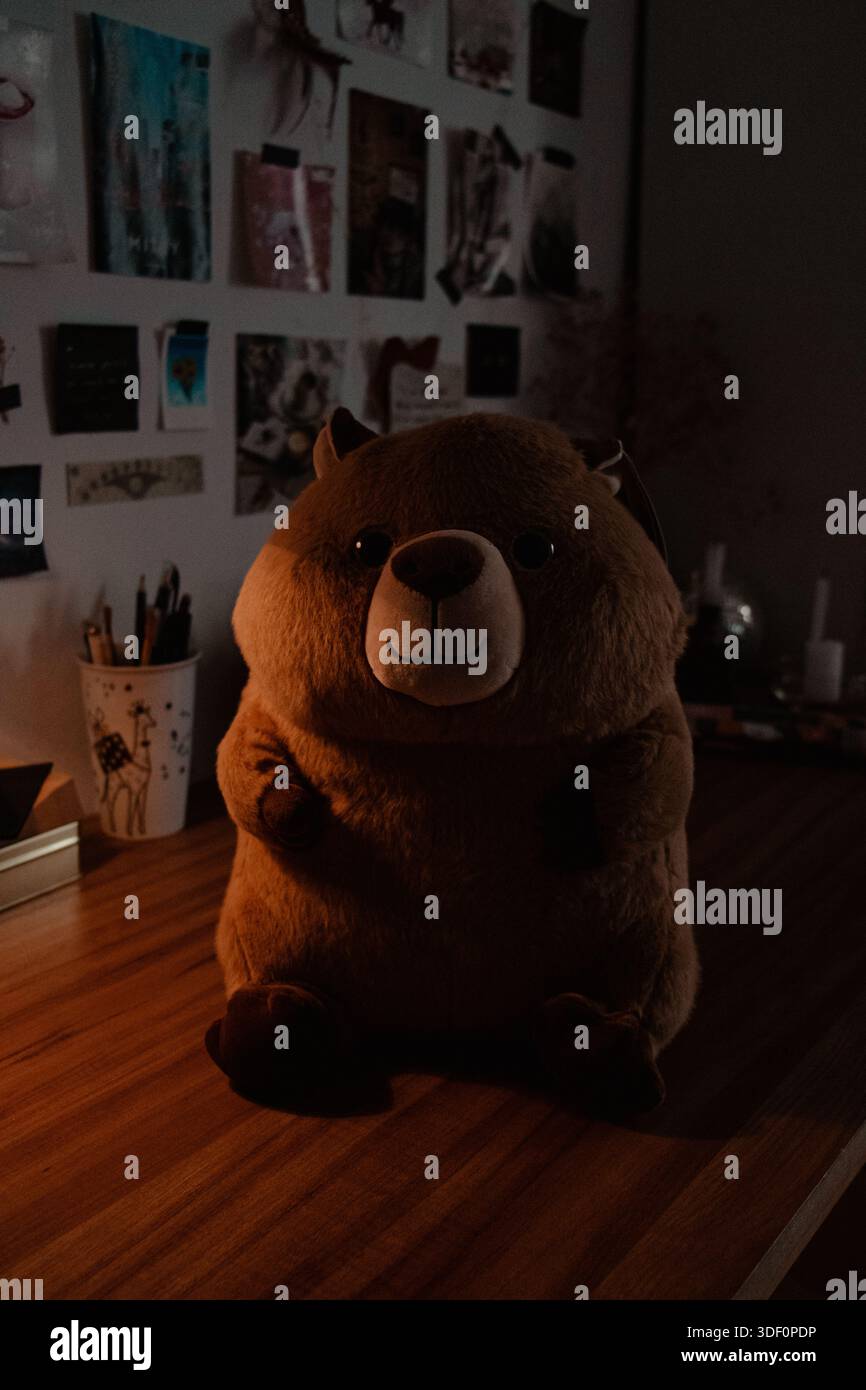 Capybara farci sur le bureau en bois Banque D'Images