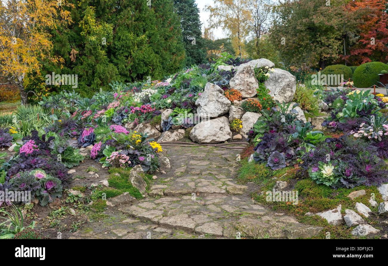 Une vue en grand angle de diverses variétés ornementales de chou et de chou frisé poussant dans des pots noirs disposés dans un paysage de jardin botanique pendant les mers d'automne Banque D'Images