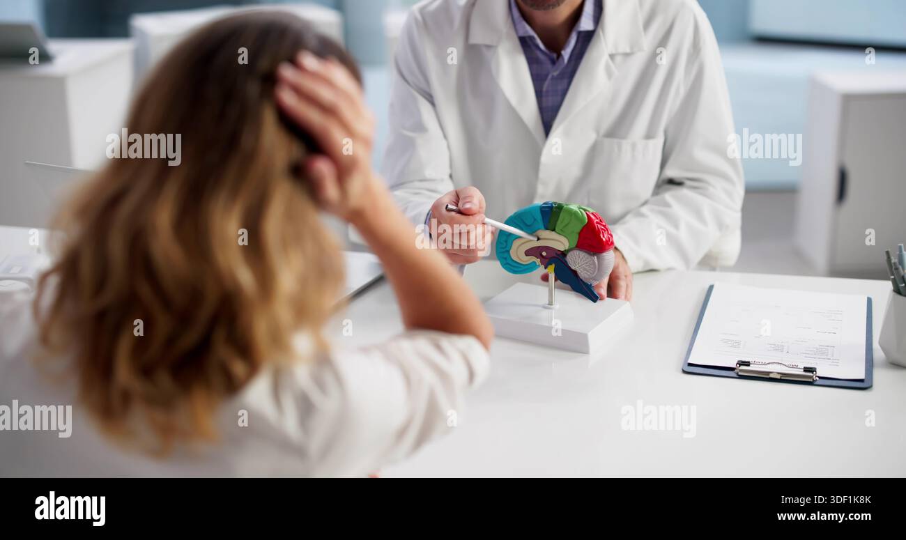 Médecin neurologue examinant le modèle cérébral avec un patient en milieu clinique Banque D'Images