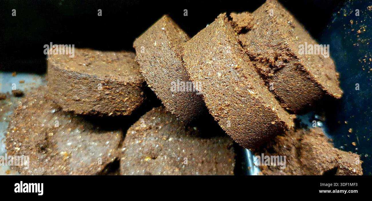 Le Marc de café usagé n’est plus considéré comme un simple déchet, mais comme une ressource précieuse dans l’économie circulaire Banque D'Images