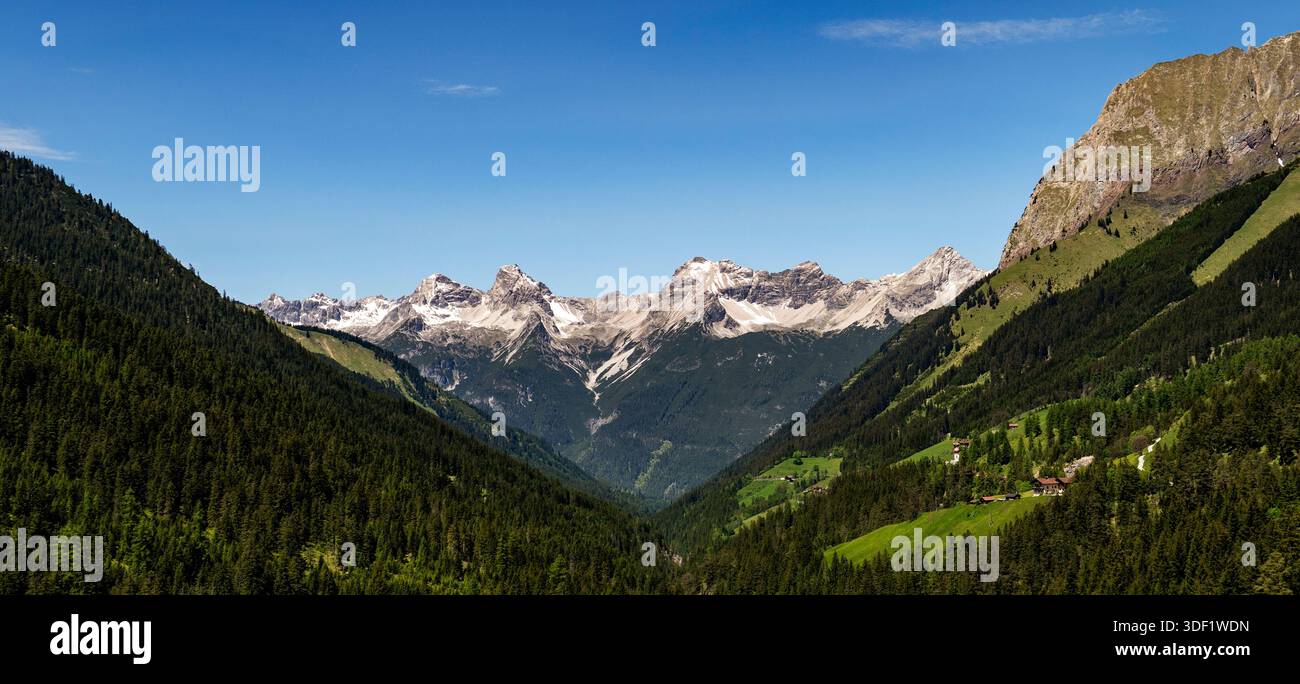 Vue panoramique sur les montagnes enneigées et la vallée verdoyante. Banque D'Images