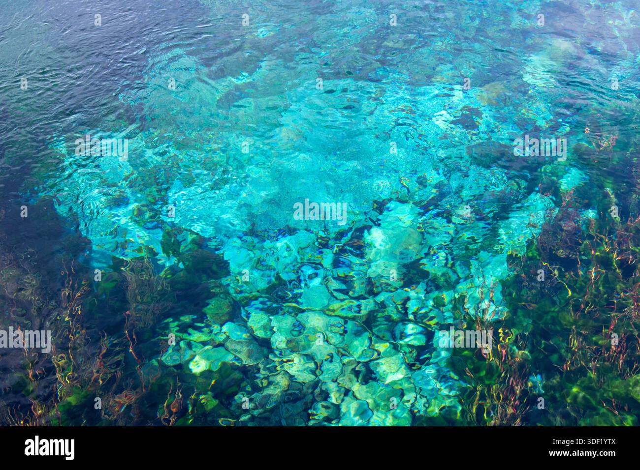 Vue aérienne d'une eau turquoise limpide révélant les récifs coralliens vibrants et la végétation sous-marine. La lumière du soleil crée des motifs chatoyants sur la surface, Banque D'Images