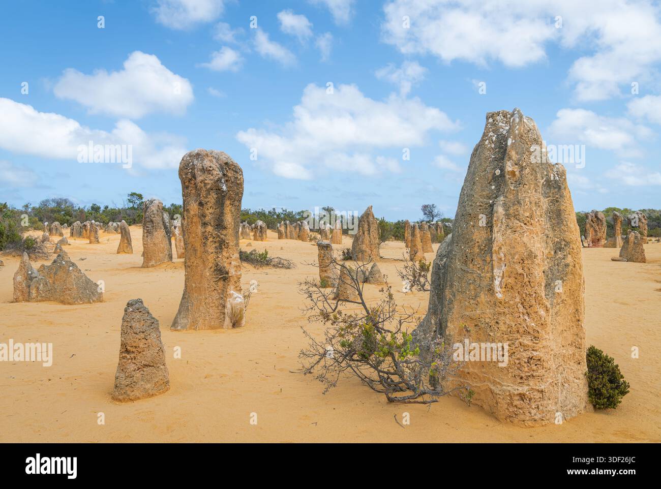 Pinnacles dans le parc national de Nambung, Australie occidentale, Australie Banque D'Images