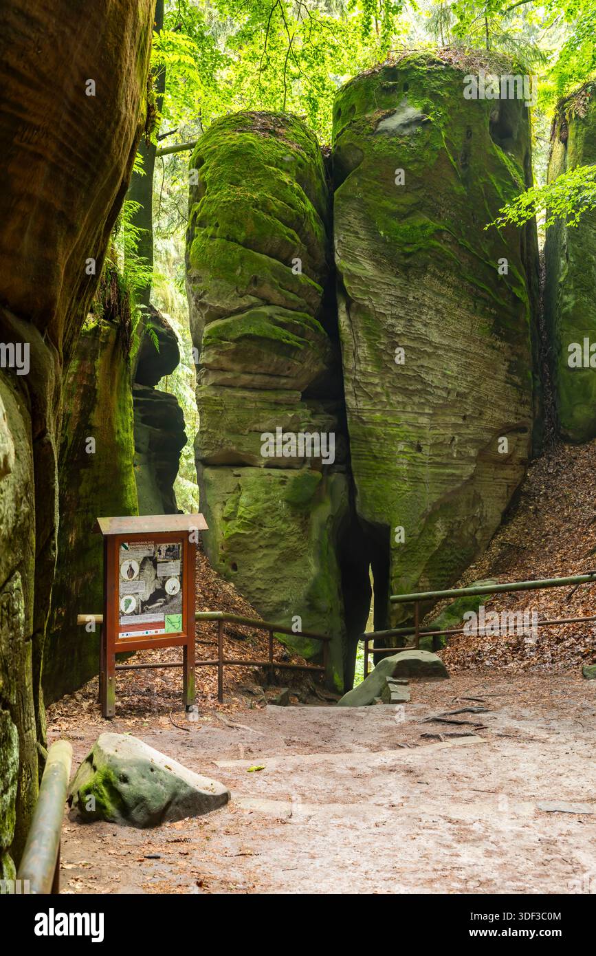 Tours de roches de grès recouvertes de mousse dans une forêt tchèque, montrant un panneau d'information Banque D'Images