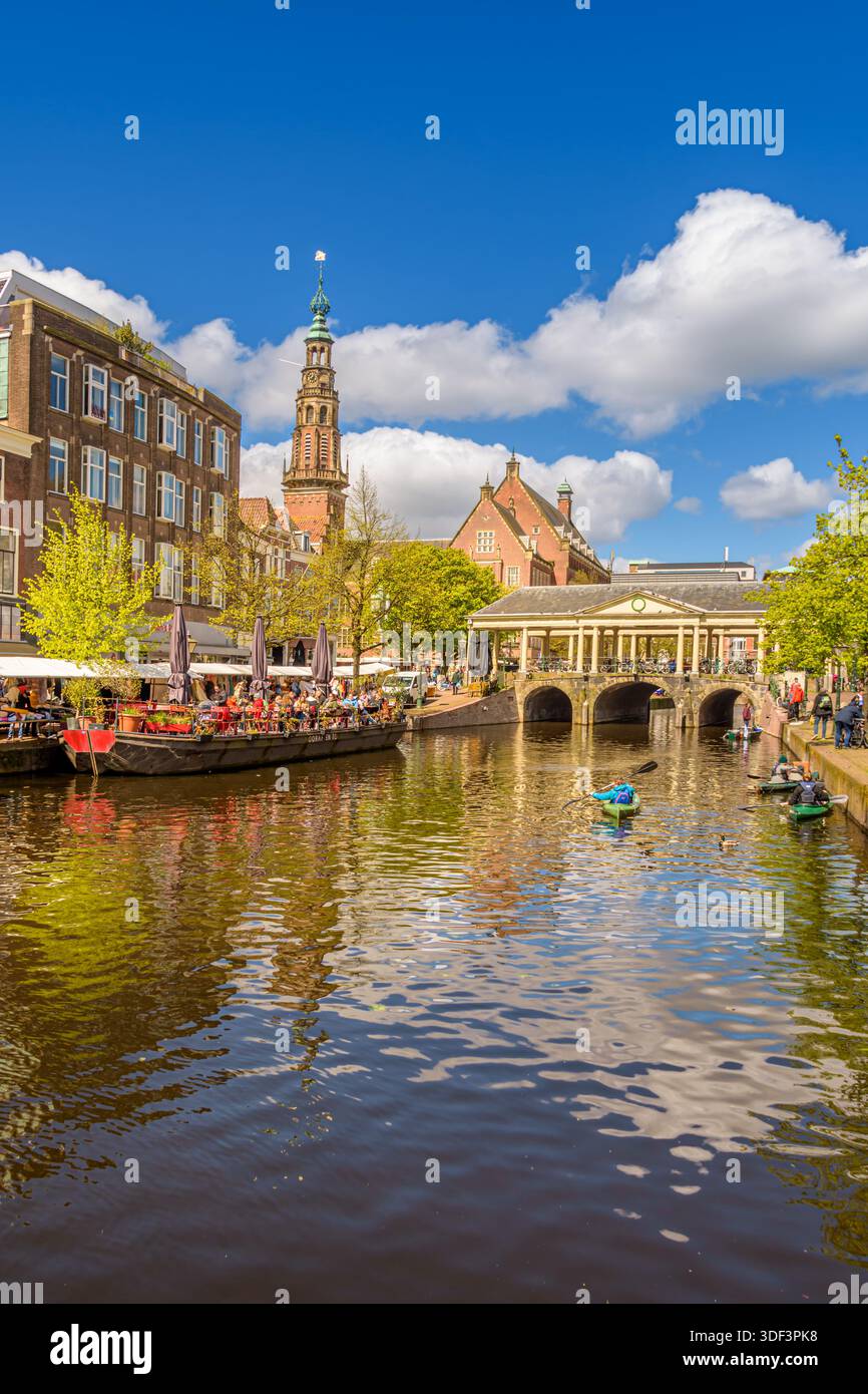 Vue panoramique sur le canal à Leyde avec architecture historique et front de mer dynamique Banque D'Images