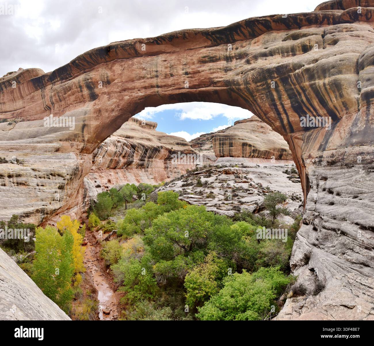 Kachina Arch, une arche en pierre naturelle trouvée dans le Natural Bridges National Monument dans l'Utah, une partie du bassin versant du fleuve Colorado. Banque D'Images