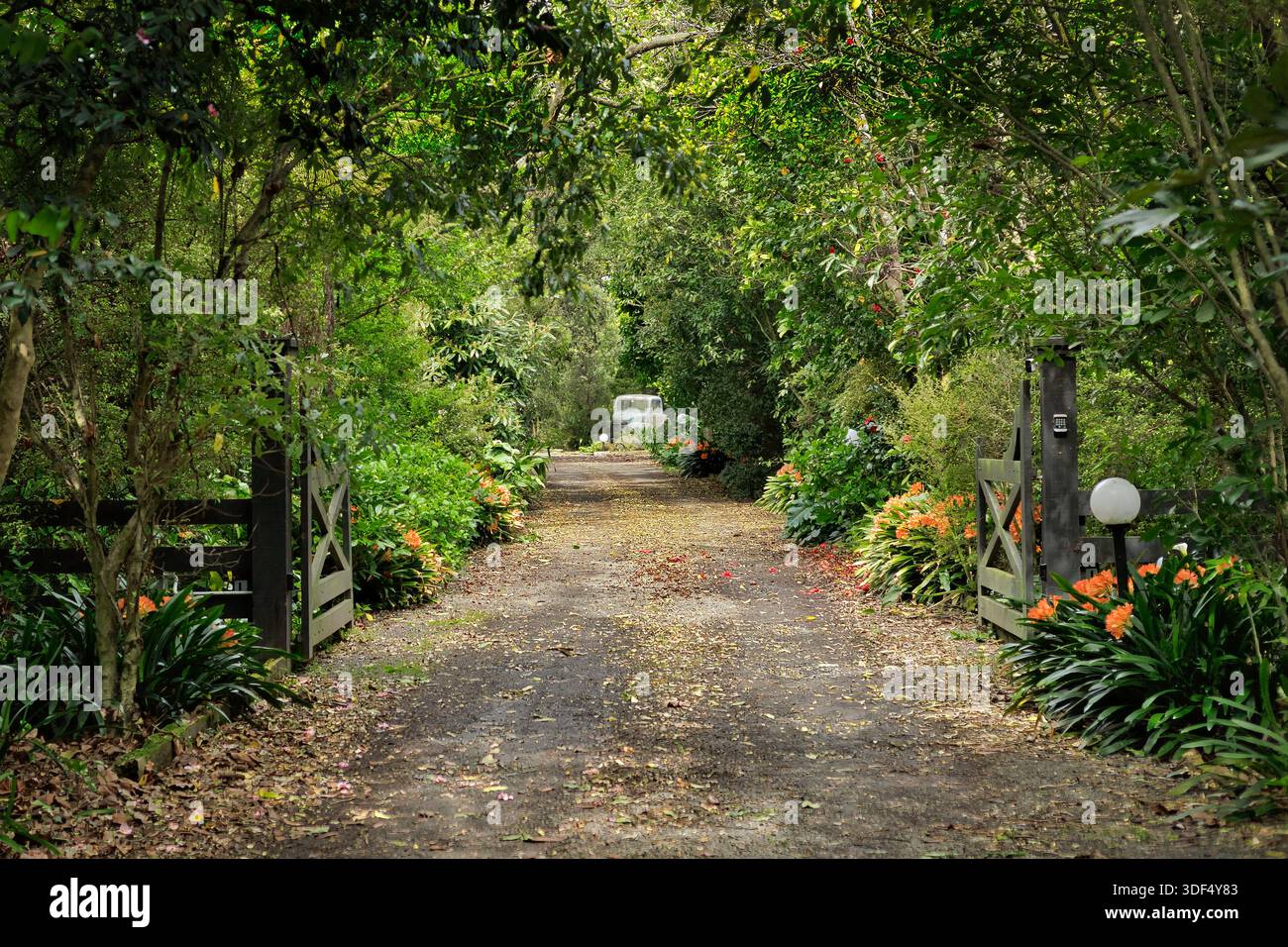 Magnifique allée de jardin avec des arbres lui donnant de l'ombre. aussi à la fin de l'allée dans un vieux camion de jardin. Banque D'Images