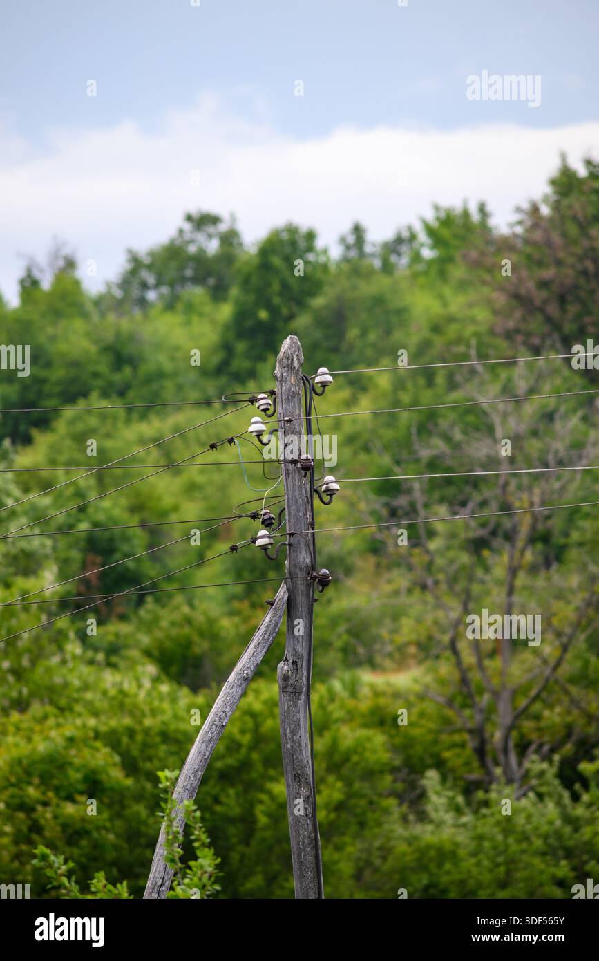 Vieux poteau utilitaire en bois avec isolateurs dans un cadre forestier. Banque D'Images
