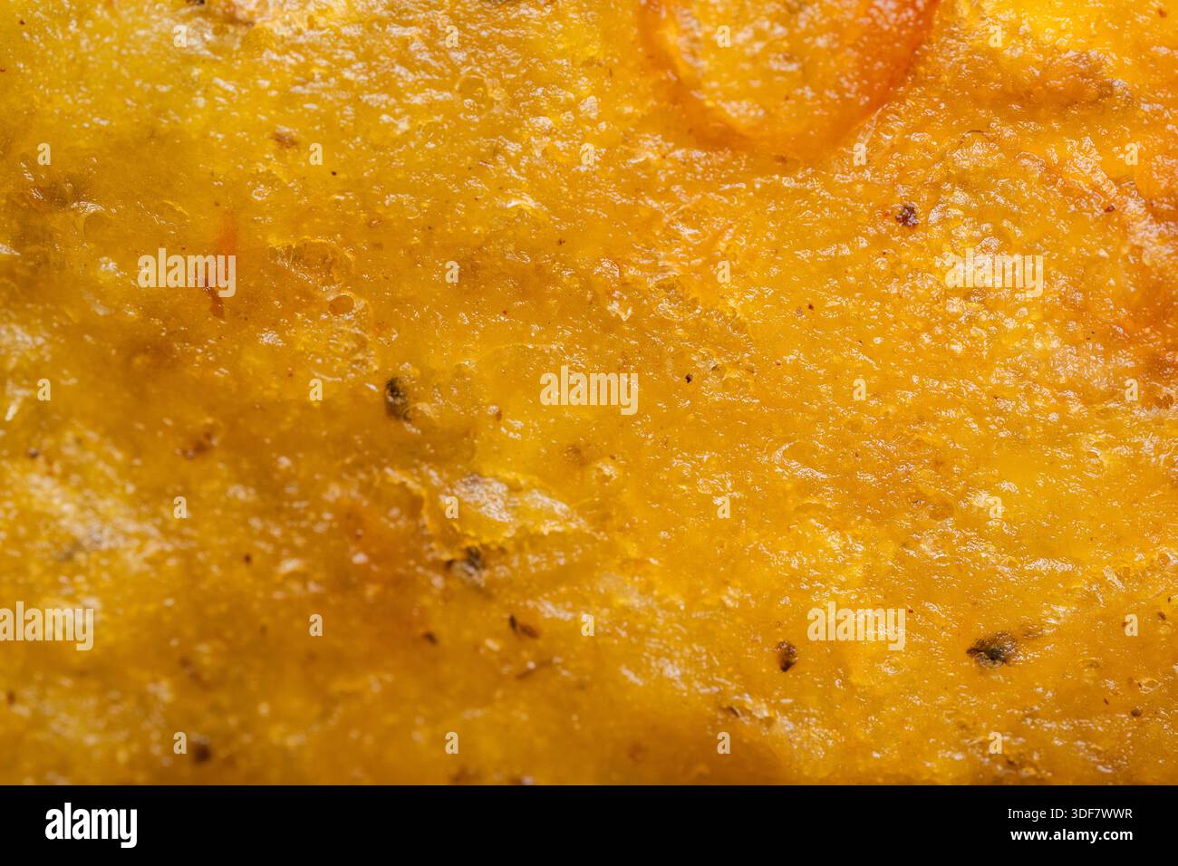 Gros plan extrême d'une tranche de tempeh frite croustillante, montrant la pâte croustillante brune dorée et les détails de l'assaisonnement traditionnel indonésien. Banque D'Images