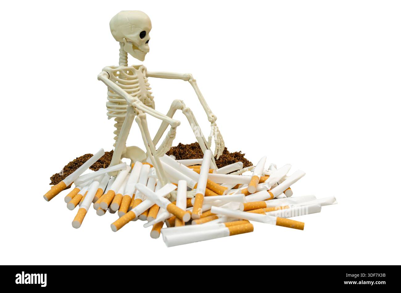Skeleton smoking Banque de photographies et d'images  haute rsolution -  Alamy