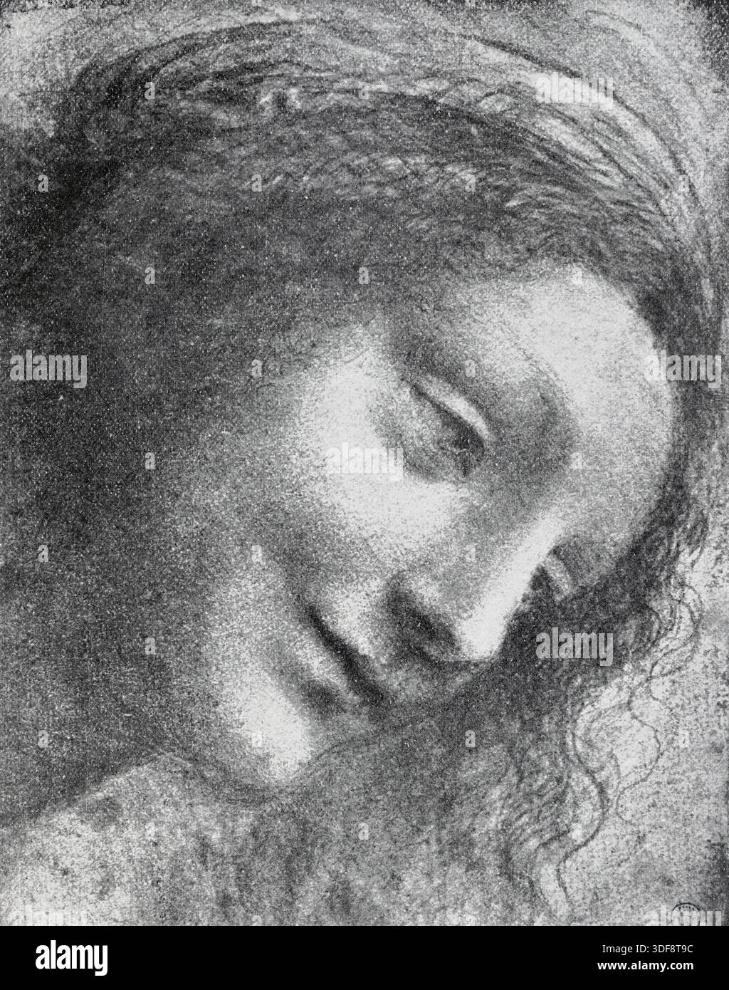 Dessin d'une tête attribuée à Léonard de Vinci. Black and White illustration from the Connoisseur, an Illustrated Magazine for Collectors vol 4 (sept - décembre 1902) publié à Londres par Otto Limited Banque D'Images