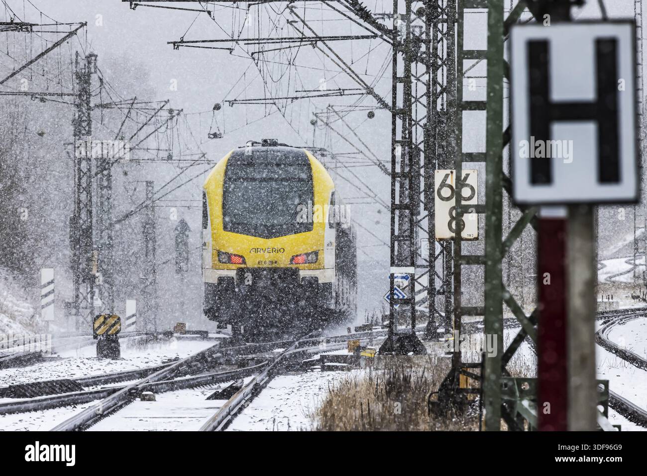 Train régional d'Arverio sur son chemin à travers un paysage hivernal en chute de neige. Le train de wagons est peint par la marque de mobilité Bade-Wuerttemberg b Banque D'Images