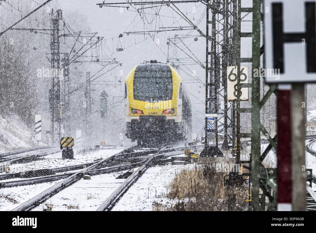 Train régional d'Arverio sur son chemin à travers un paysage hivernal en chute de neige. Le train de wagons est peint par la marque de mobilité Bade-Wuerttemberg b Banque D'Images