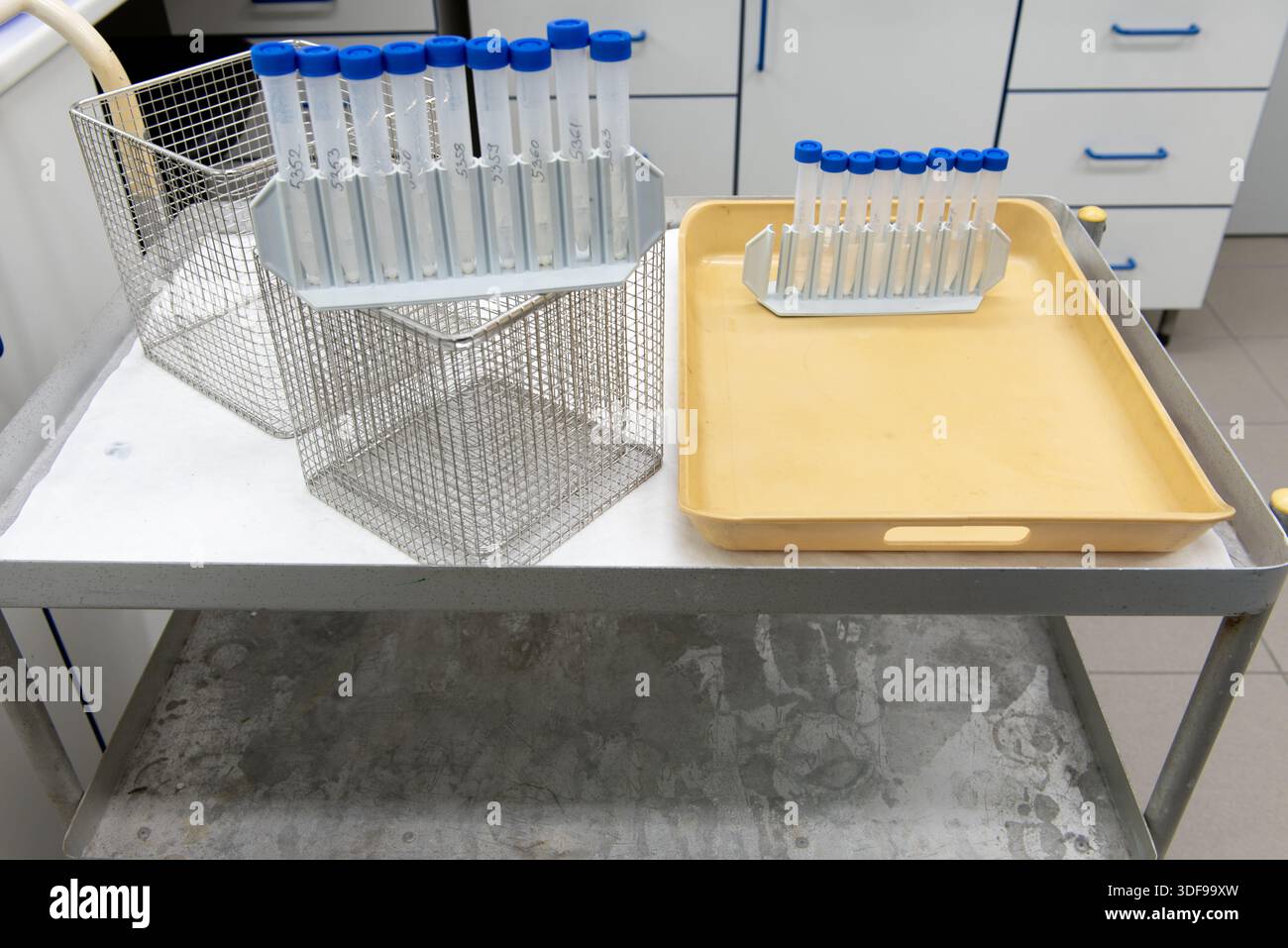 Chariot de transport de laboratoire en métal, avec deux étagères. Papier de protection blanc sur l'étagère supérieure, divers articles de laboratoire, paniers, centrifugeuse t Banque D'Images
