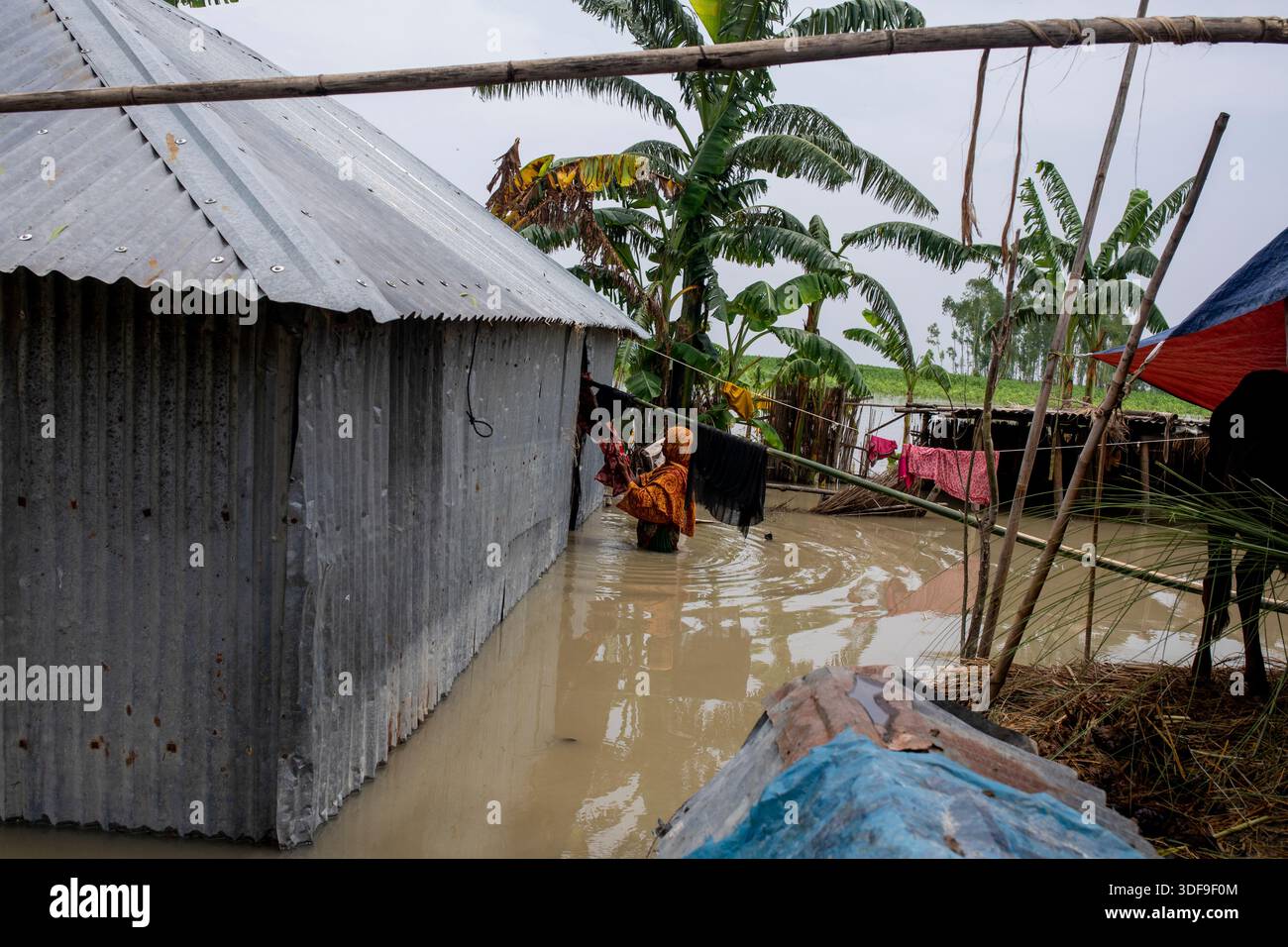 Les populations endurent de graves difficultés dans une zone d'omble touchée par les inondations le long de la rivière Jamuna à Sariakandi, Bogura, Bangladesh. Banque D'Images