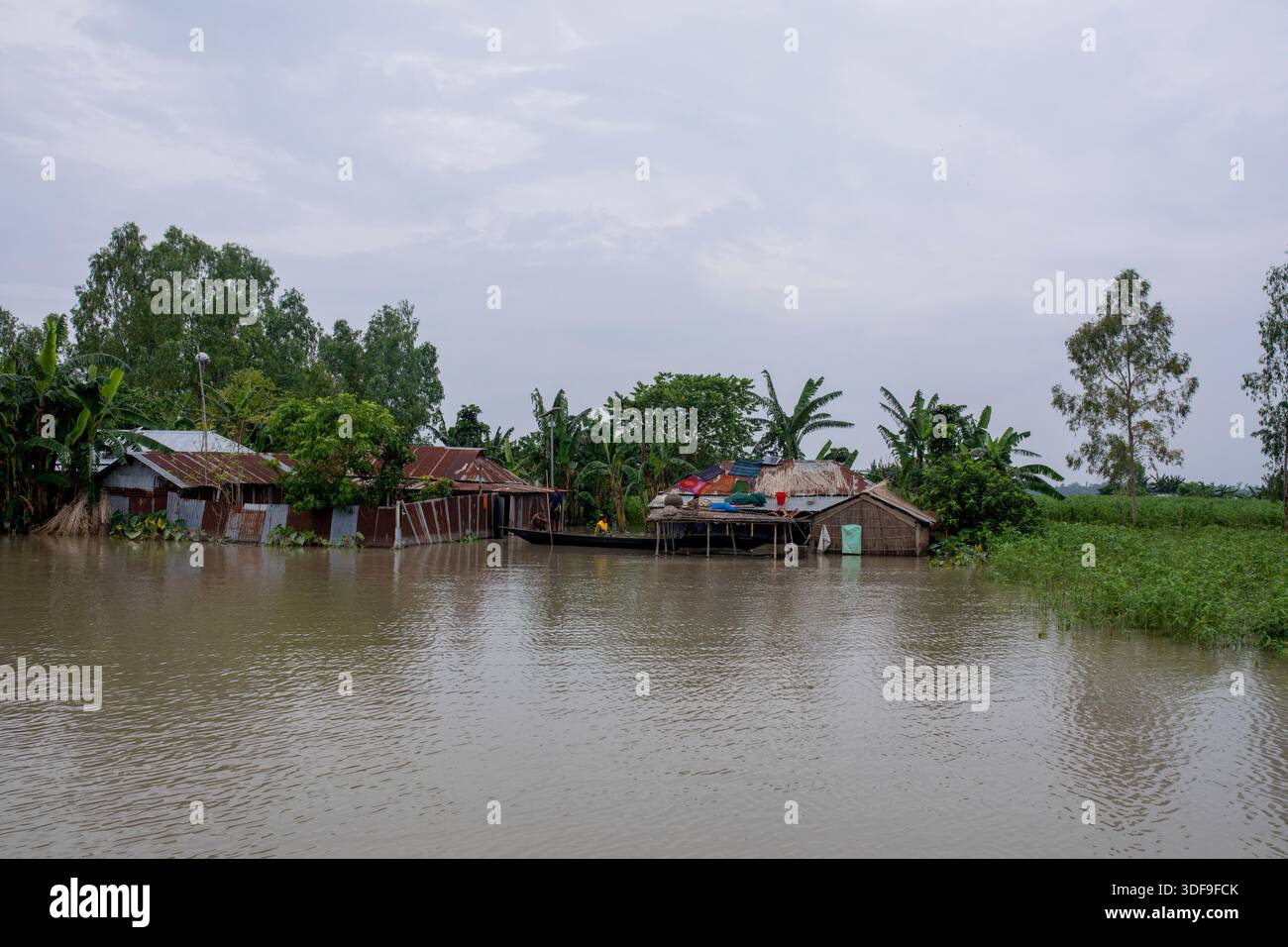 Les populations endurent de graves difficultés dans une zone d'omble touchée par les inondations le long de la rivière Jamuna à Sariakandi, Bogura, Bangladesh. Banque D'Images