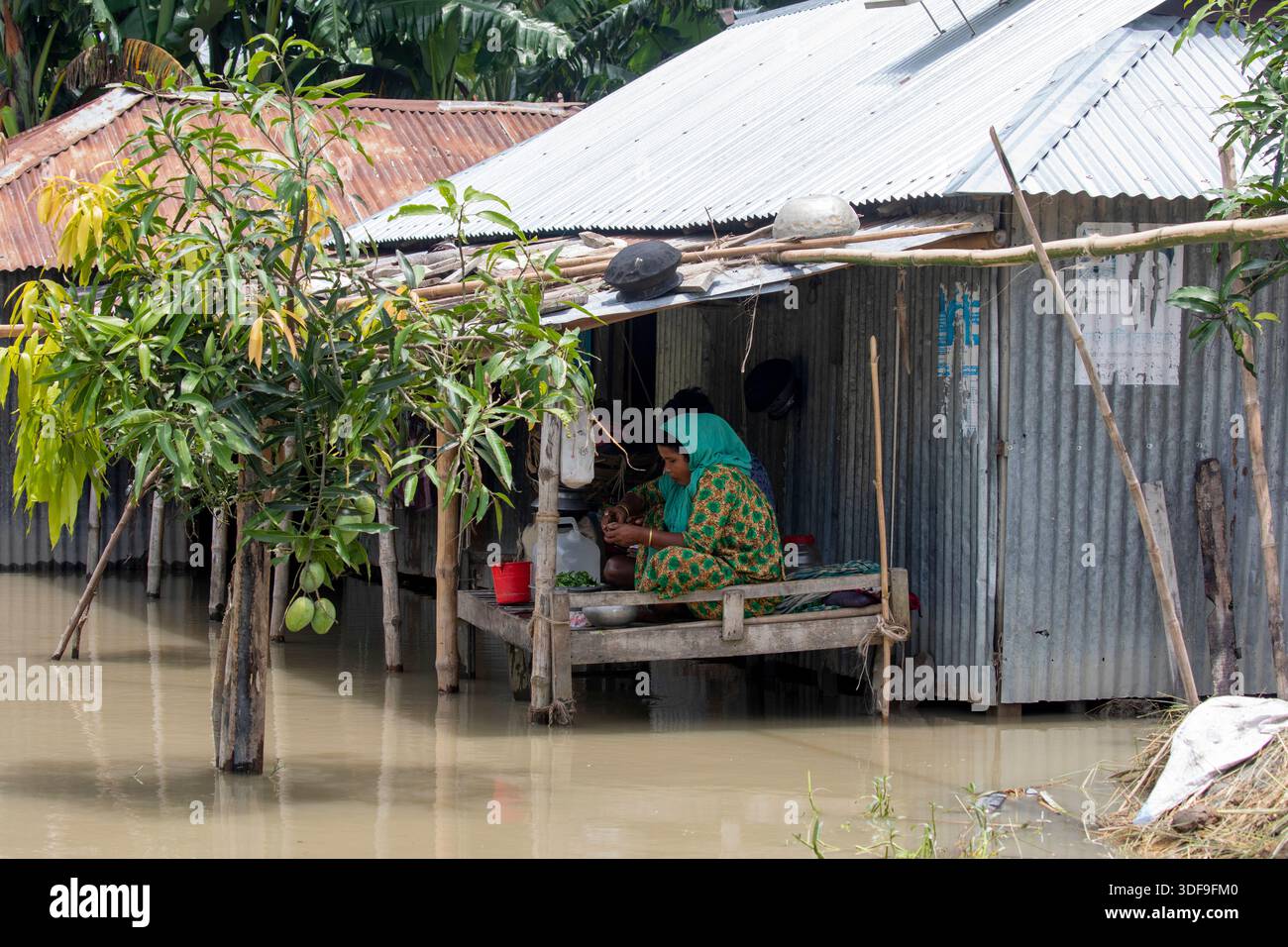 Les populations endurent de graves difficultés dans une zone d'omble touchée par les inondations le long de la rivière Jamuna à Sariakandi, Bogura, Bangladesh. Banque D'Images